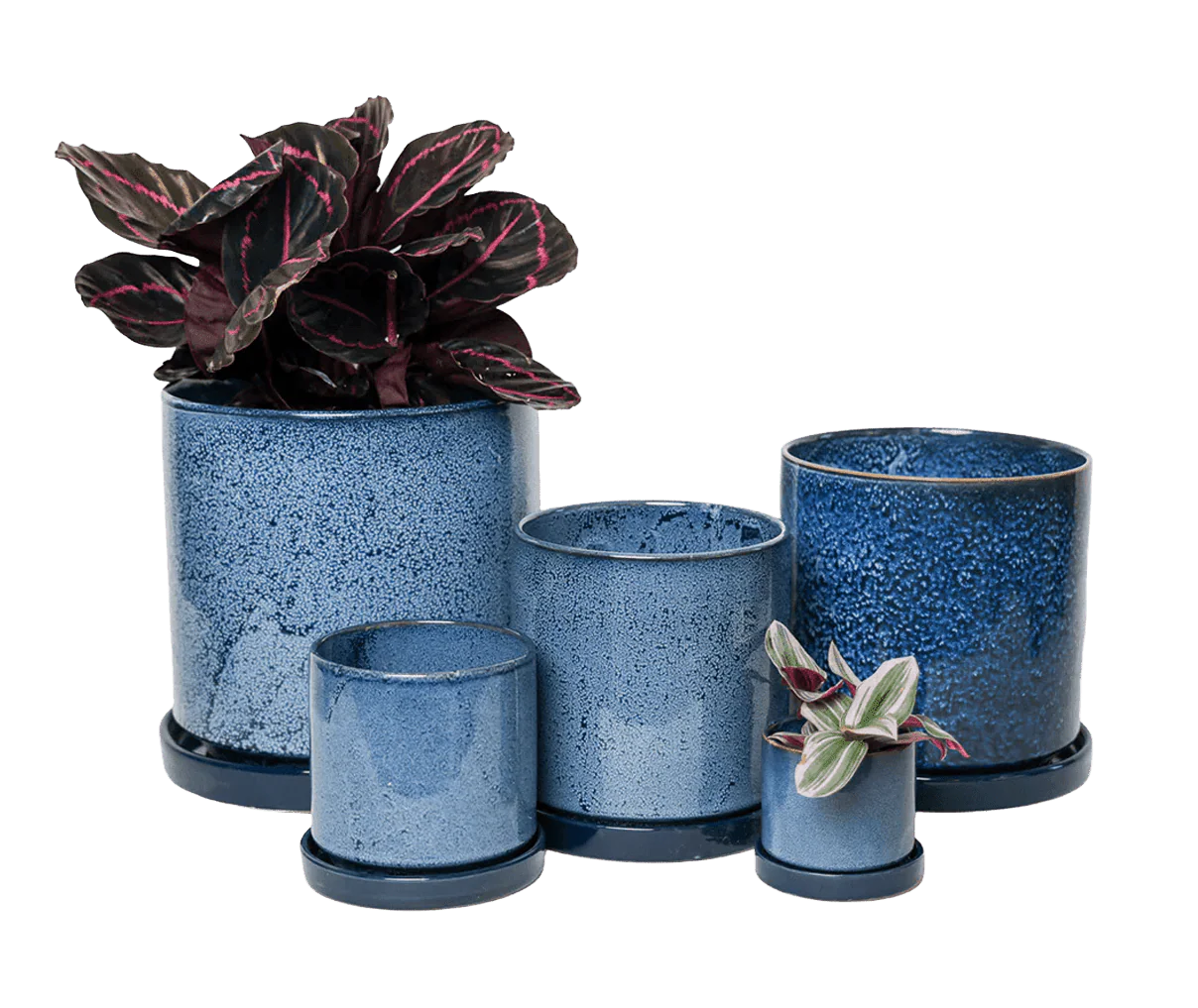 Minute Large Ceramic Pot with Drainage Hole and Saucer, Cosmos - Image 6