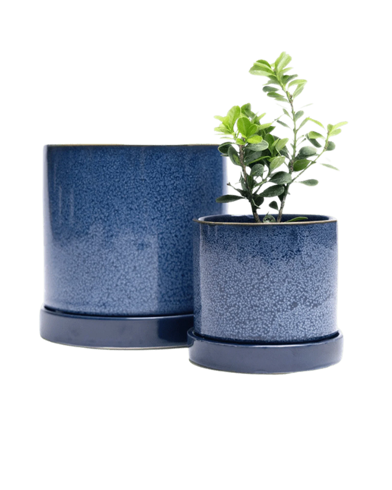 Minute Large Ceramic Pot with Drainage Hole and Saucer, Cosmos - Image 7