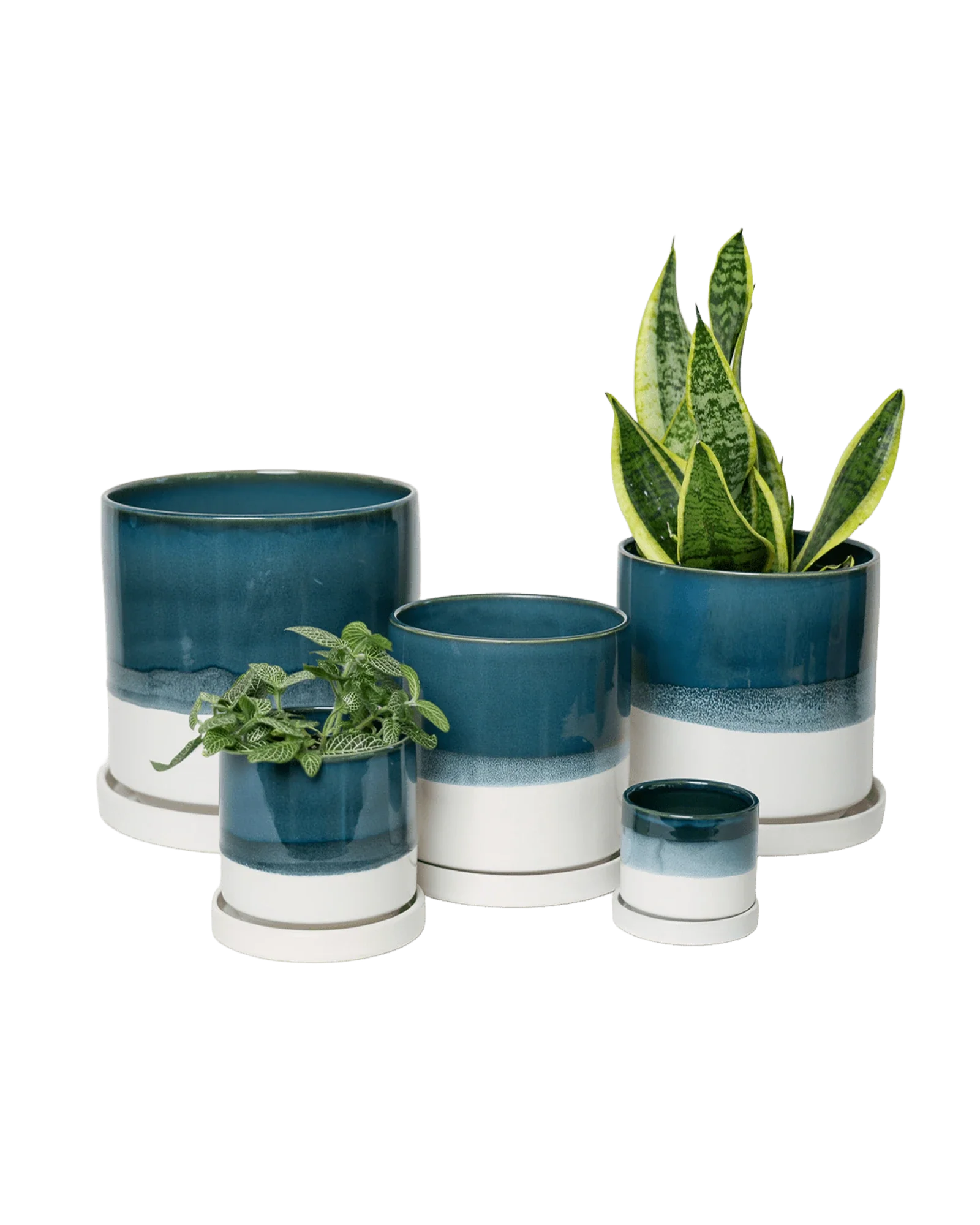 Minute Large Ceramic Pot with Drainage Hole and Saucer, Green Blue - Image 9