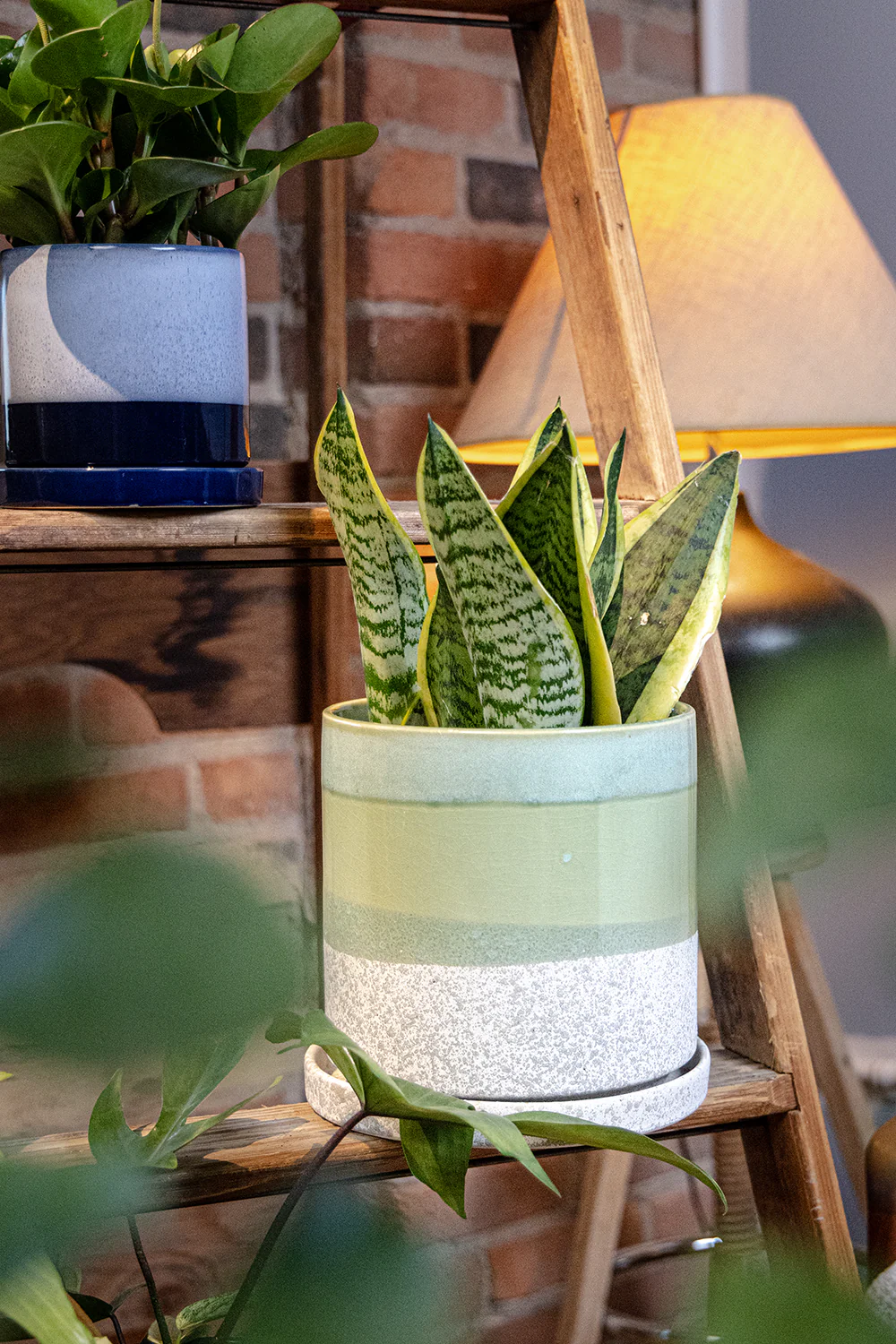 Minute Large Ceramic Pot with Drainage Hole and Saucer, Green Cement - Image 8