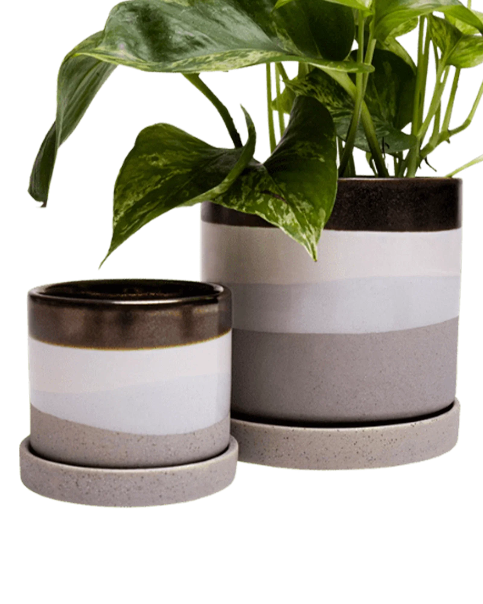 Minute Medium Ceramic Pot with Drainage Hole and Saucer, Mocha Cement - Image 4