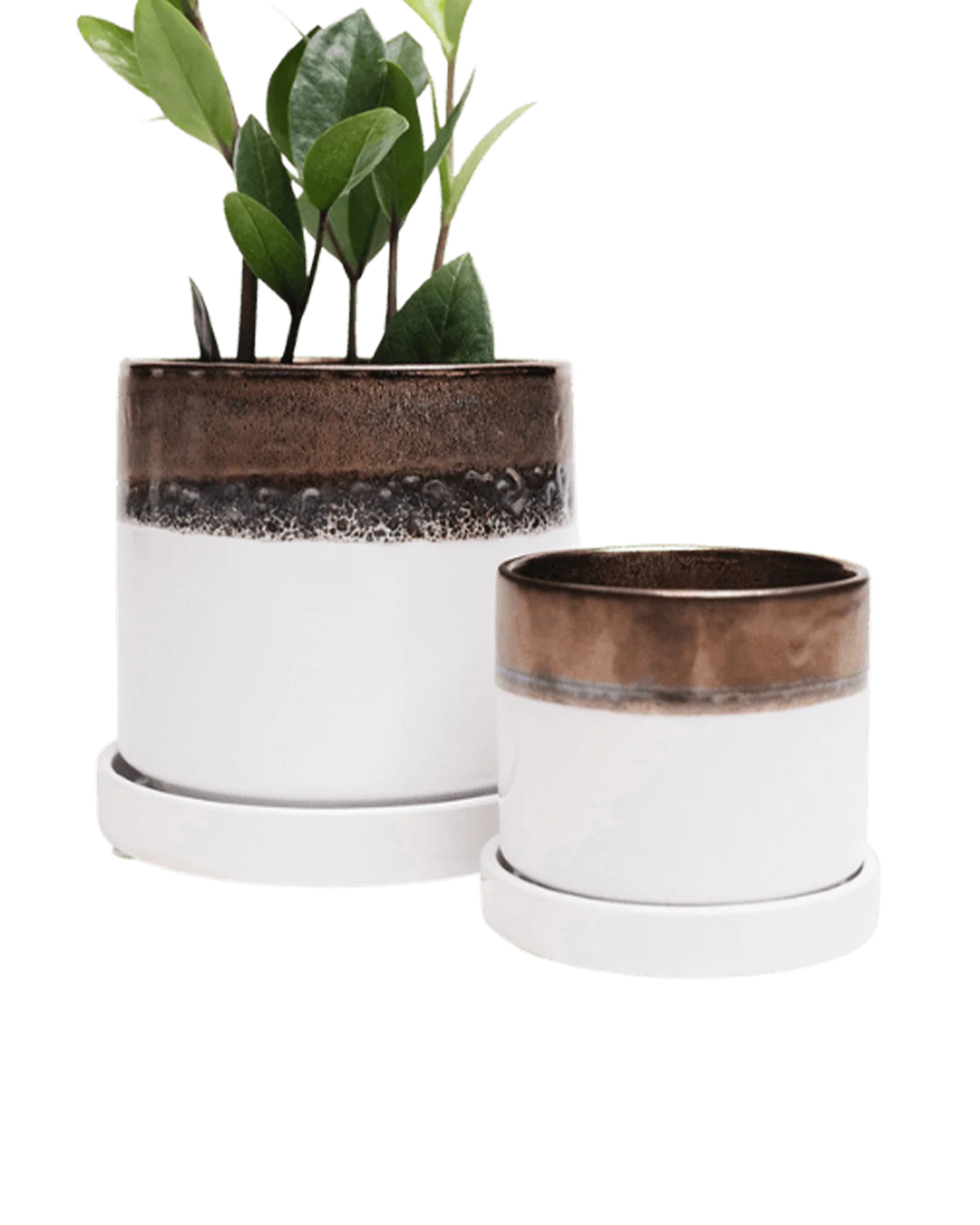 Minute Small Ceramic Pot with Drainage Hole and Saucer, Bronze White - Image 3