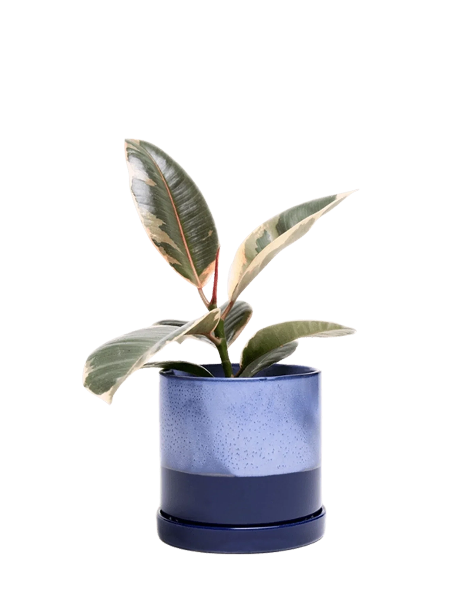 Minute Small Ceramic Pot with Drainage Hole and Saucer, Cobalt Blue