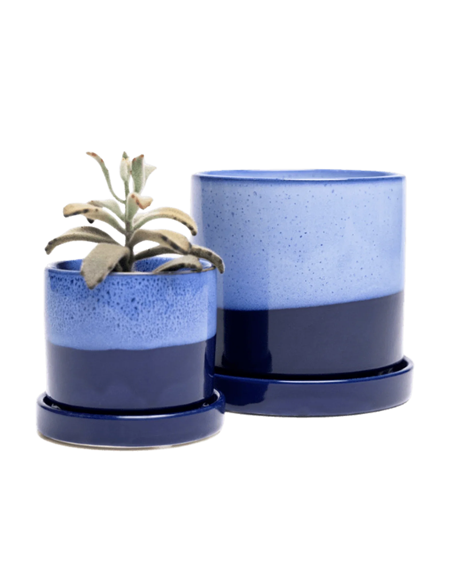 Minute Small Ceramic Pot with Drainage Hole and Saucer, Cobalt Blue - Image 2