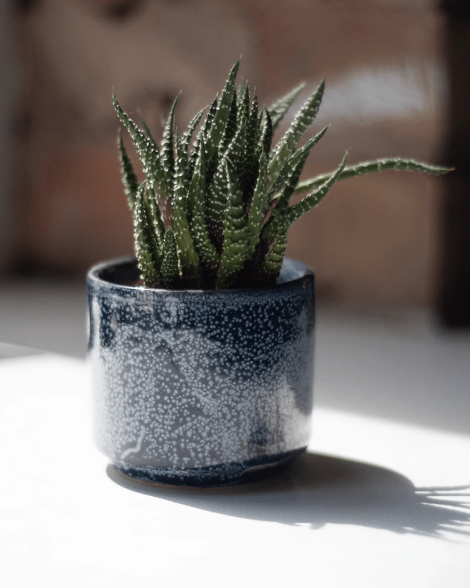 Minute Small Ceramic Pot with Drainage Hole and Saucer, Cosmos - Image 6