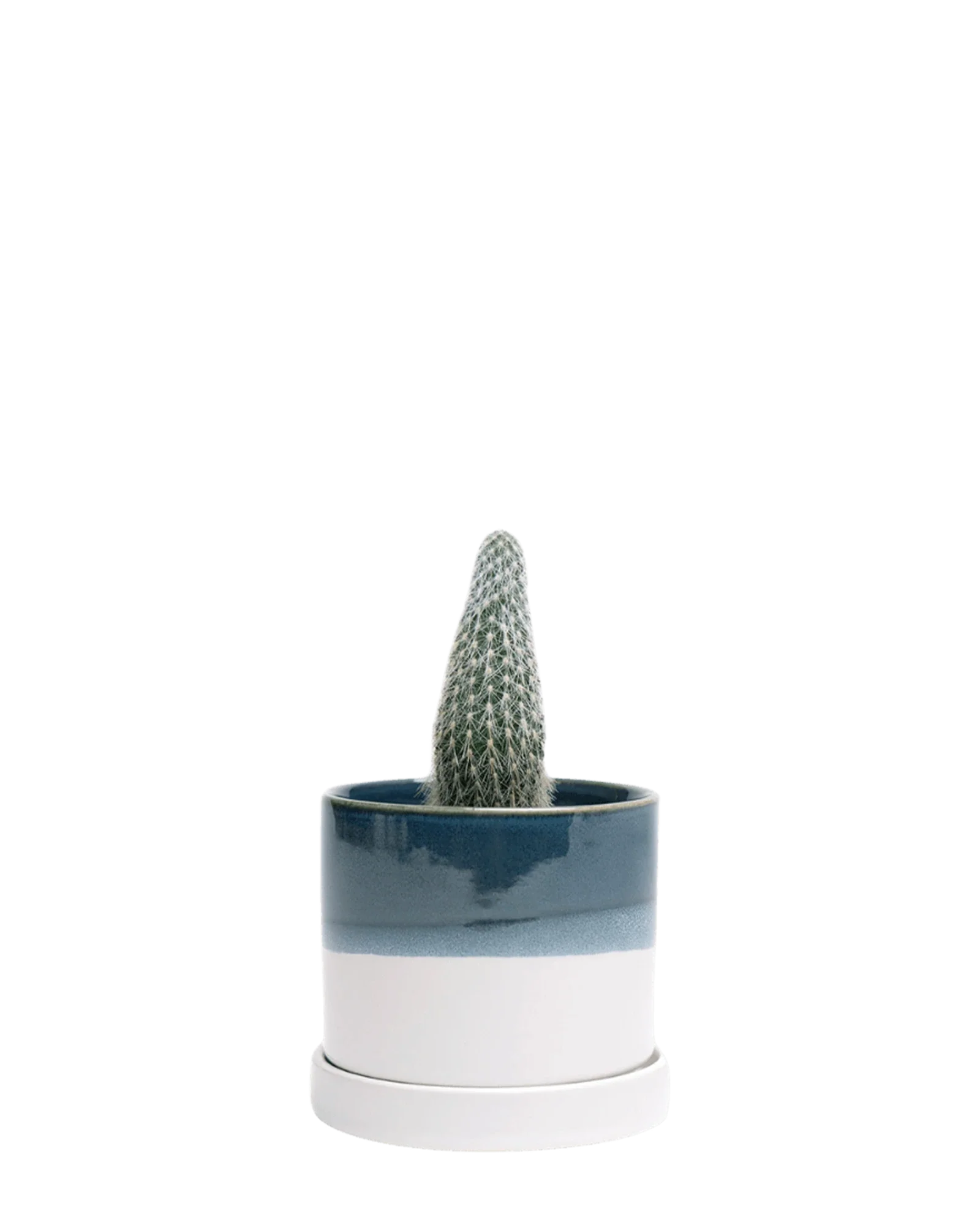 Minute Small Ceramic Pot with Drainage Hole and Saucer, Green Blue
