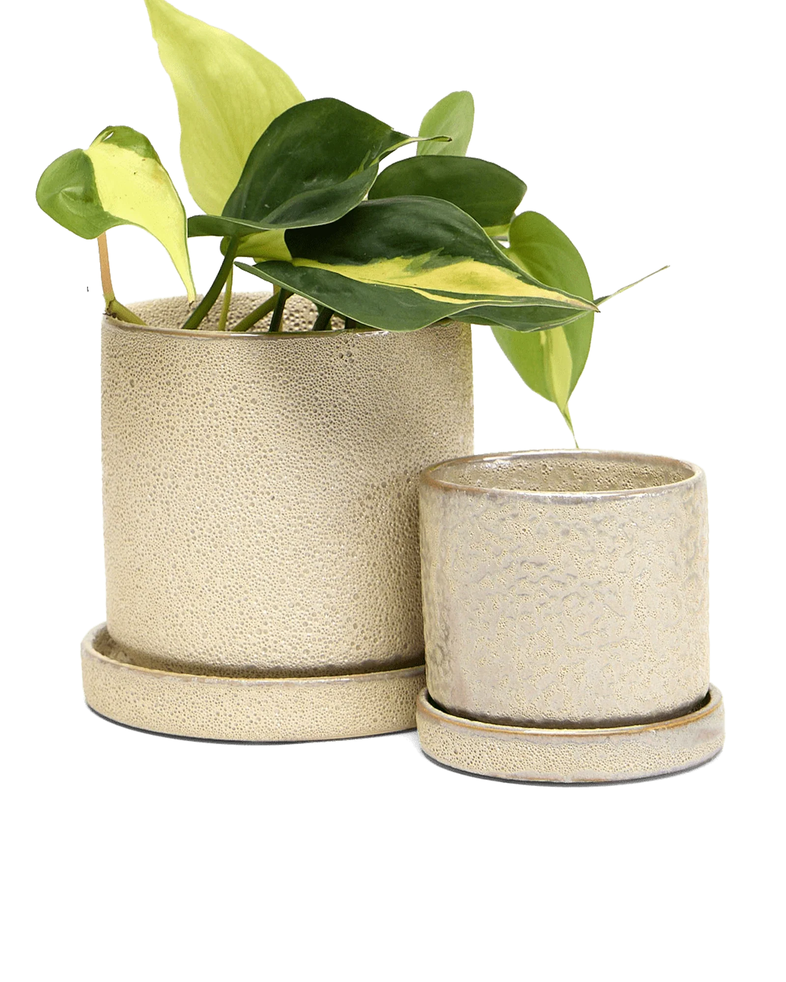 Minute Small Ceramic Pot with Drainage Hole and Saucer, Ivory Speckles - Image 2