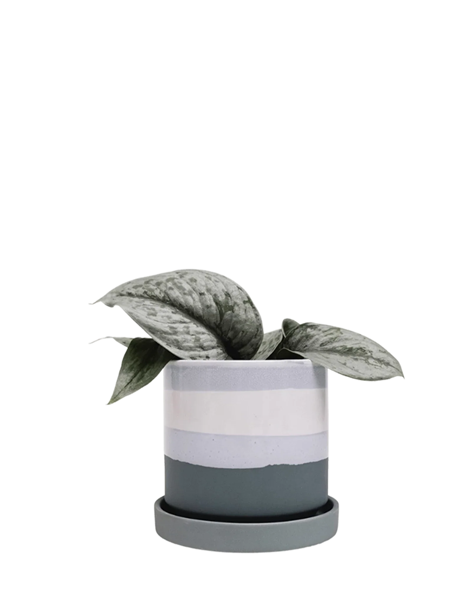 Minute Small Ceramic Pot with Drainage Hole and Saucer, Matte Green