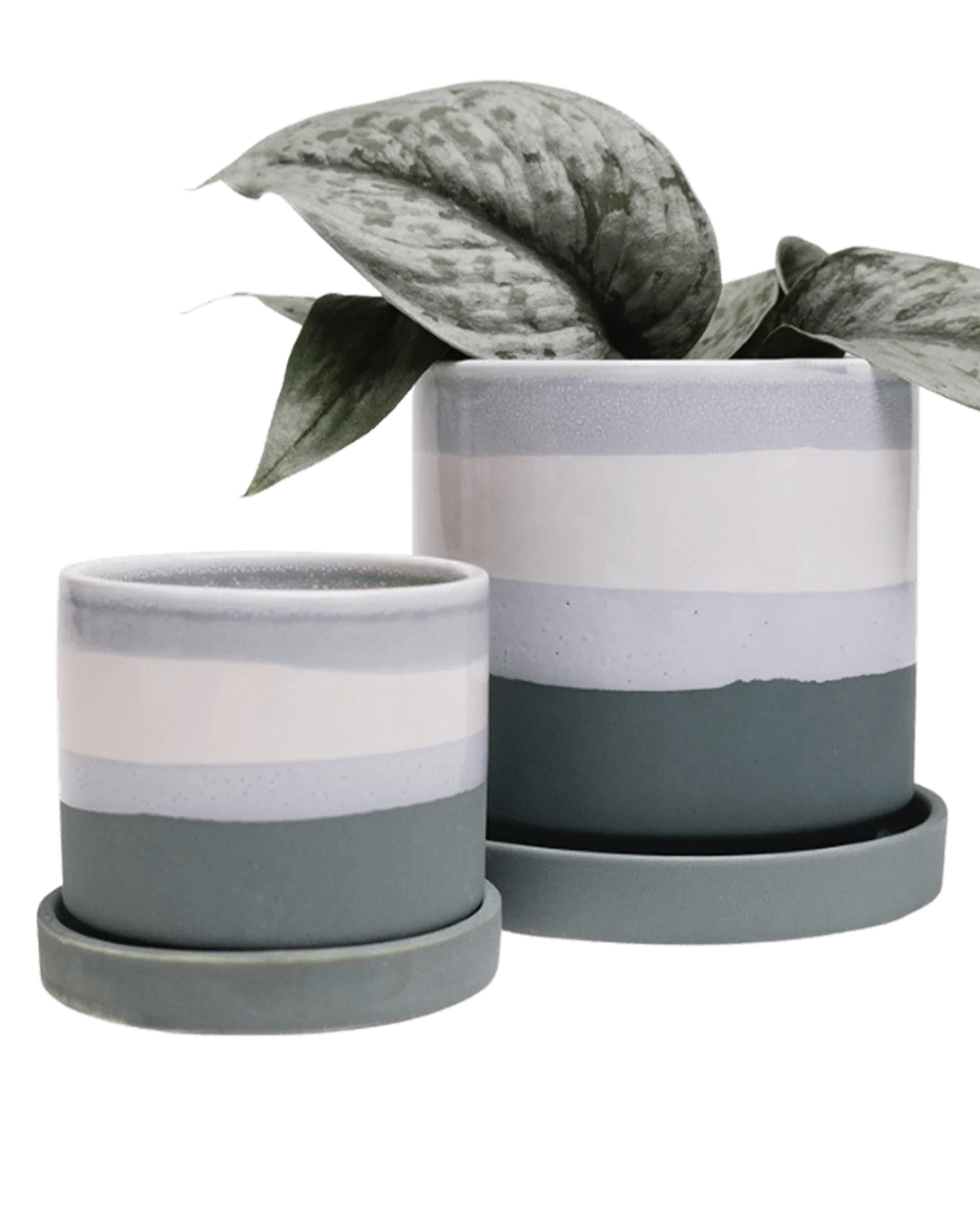 Minute Small Ceramic Pot with Drainage Hole and Saucer, Matte Green - Image 2