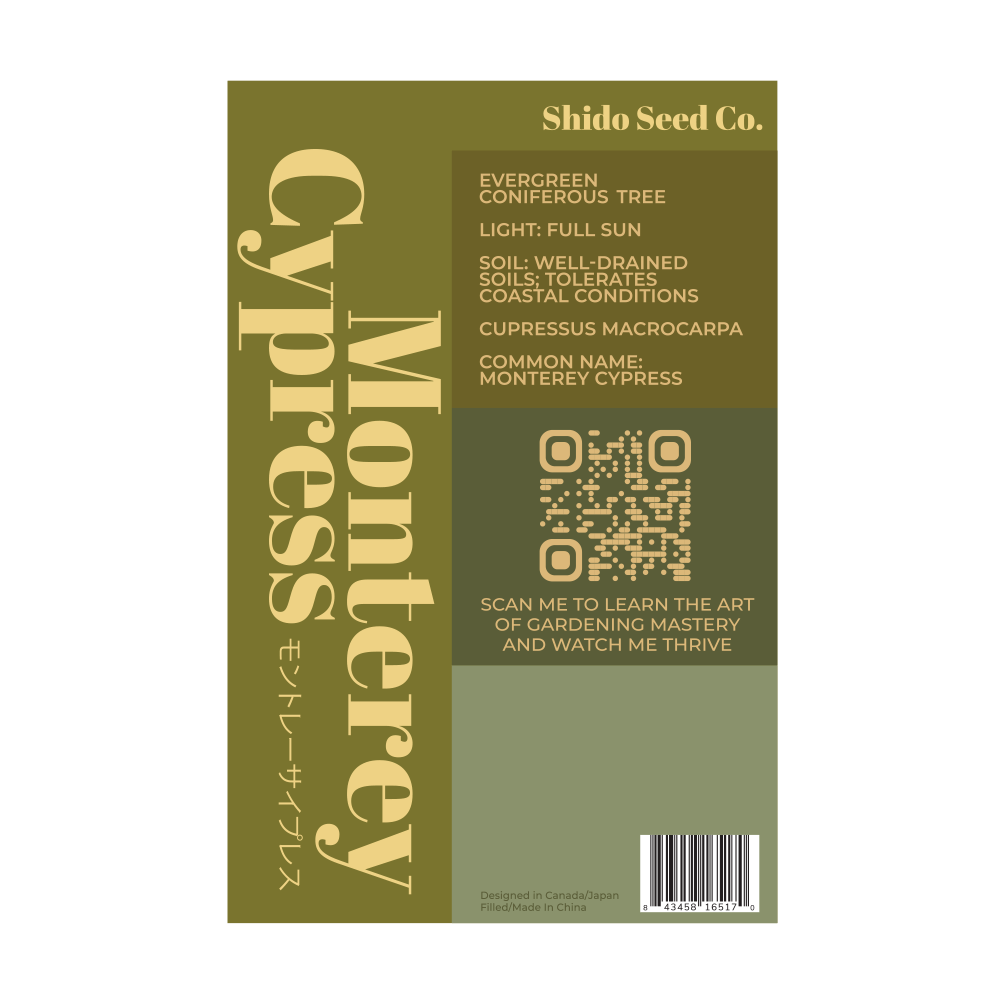 Monterey Cypress Flower Seeds Packet - Image 2