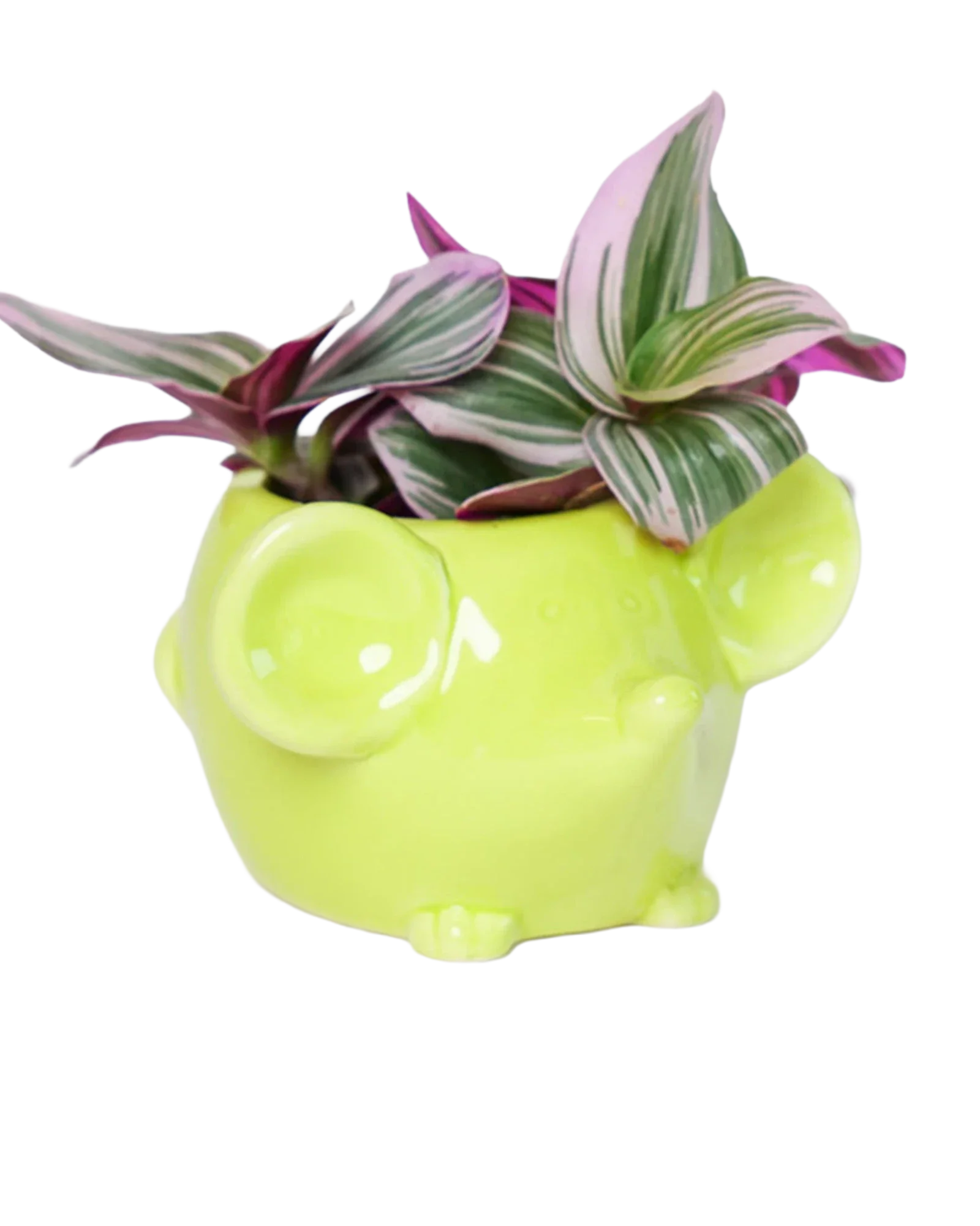 Mouse Ceramic Indoor Plant Pot For Succulents - Image 14