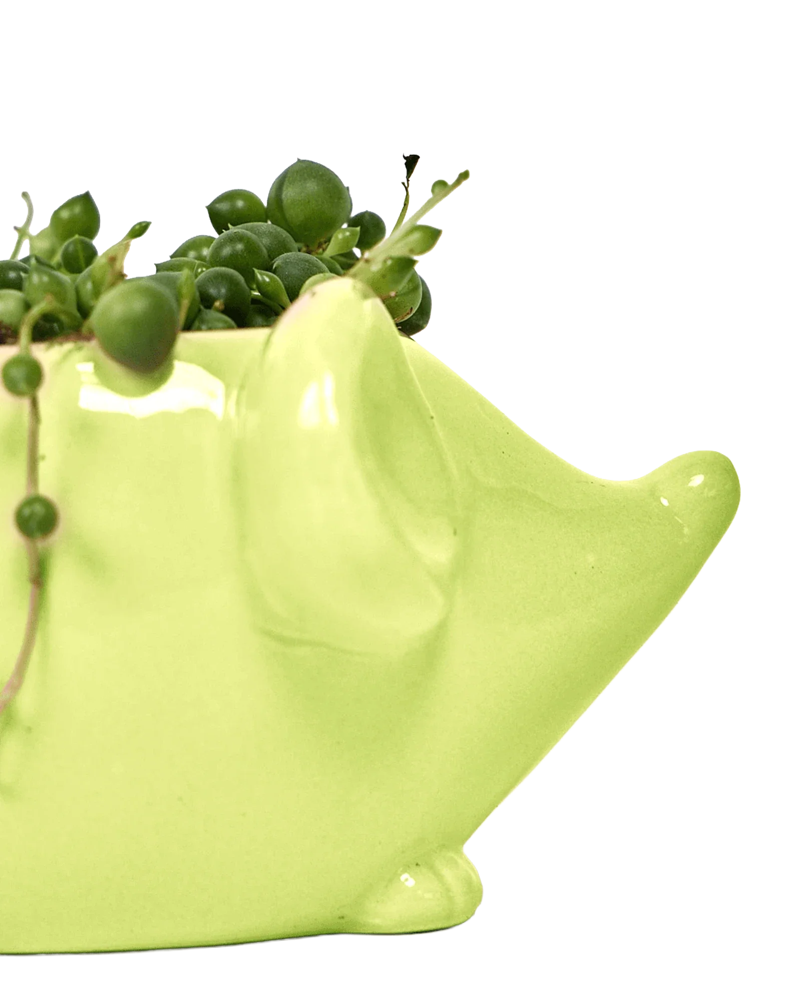 Mouse Ceramic Indoor Plant Pot For Succulents - Image 15