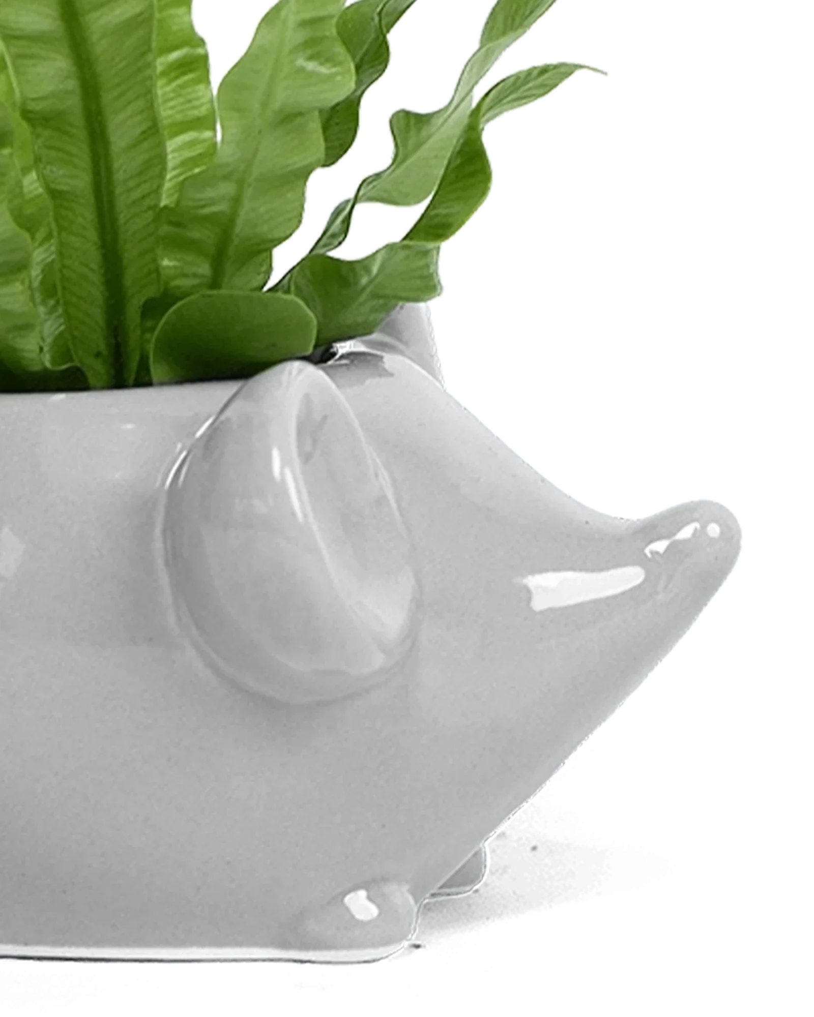 Mouse Ceramic Indoor Plant Pot For Succulents - Image 5