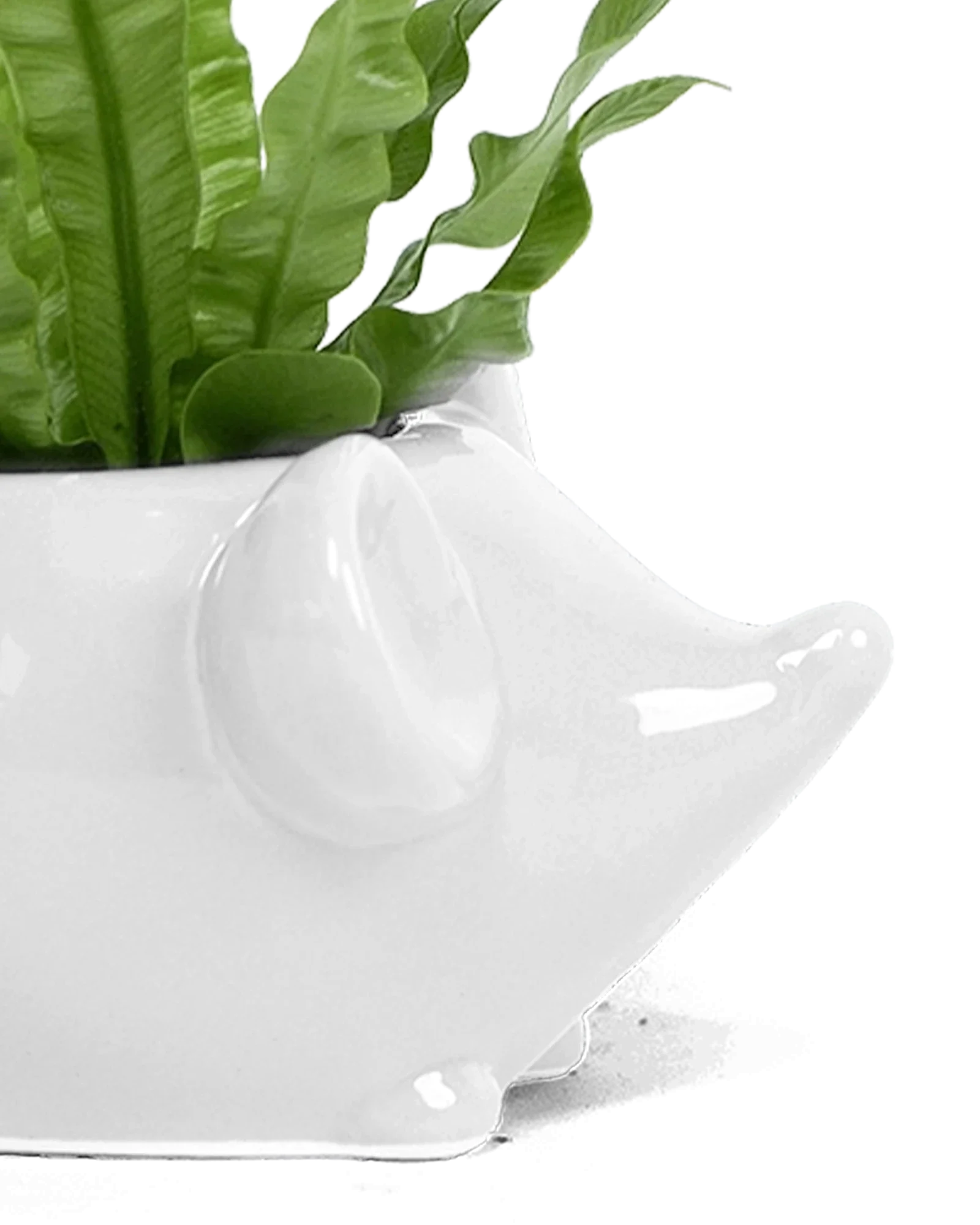 Mouse Ceramic Indoor Plant Pot For Succulents - Image 8