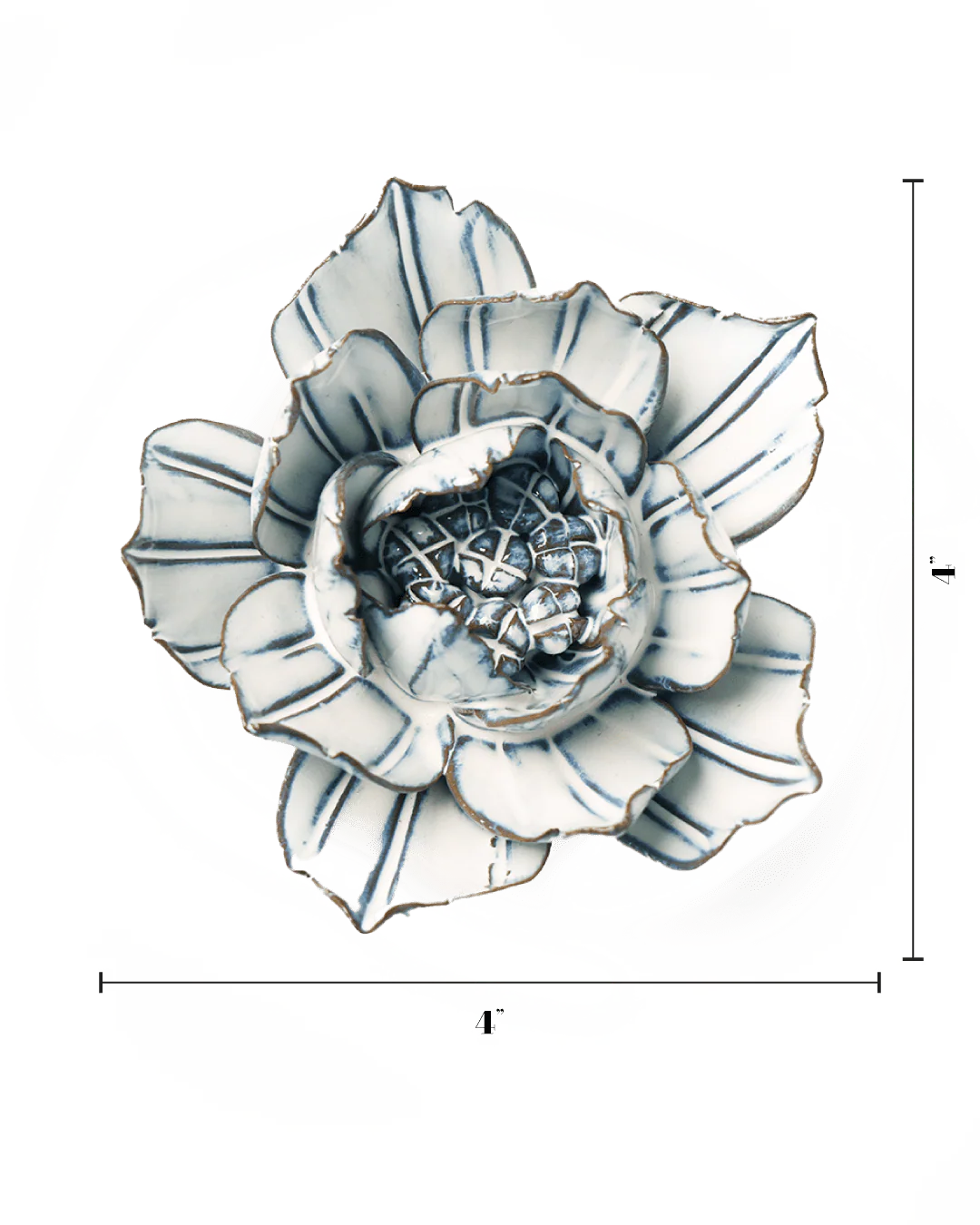 Blue White Purslane - Image 3