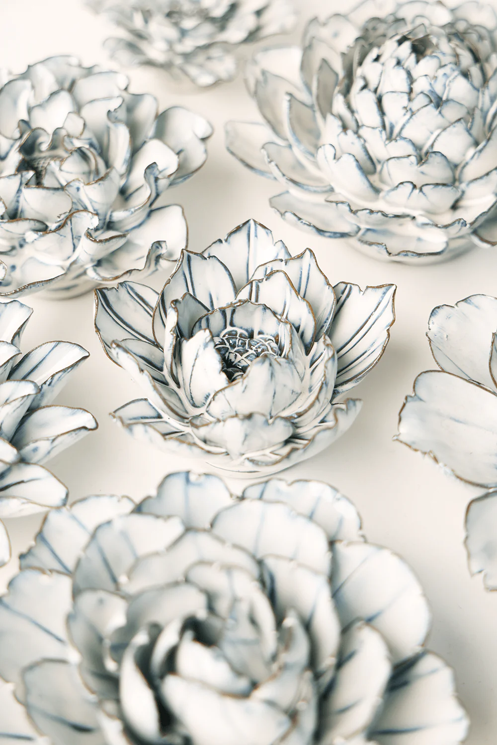 Blue White Purslane - Image 4