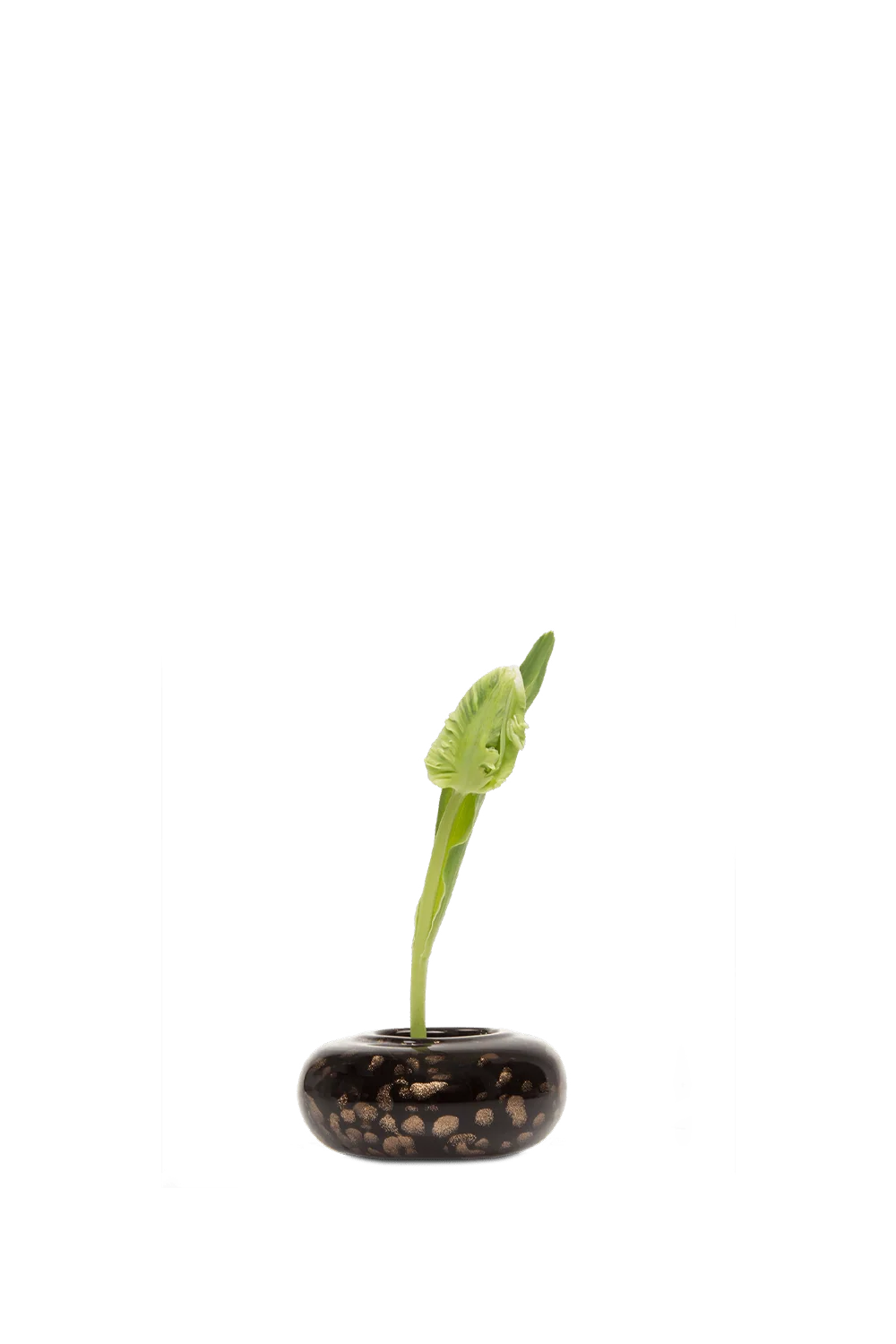 Neutrino Glass Ikebana Kenzan Vase