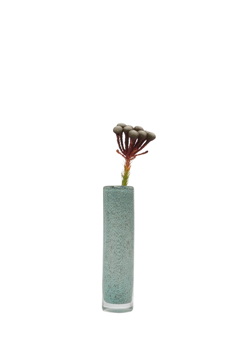 Nova Glass Flower Vase - Image 9