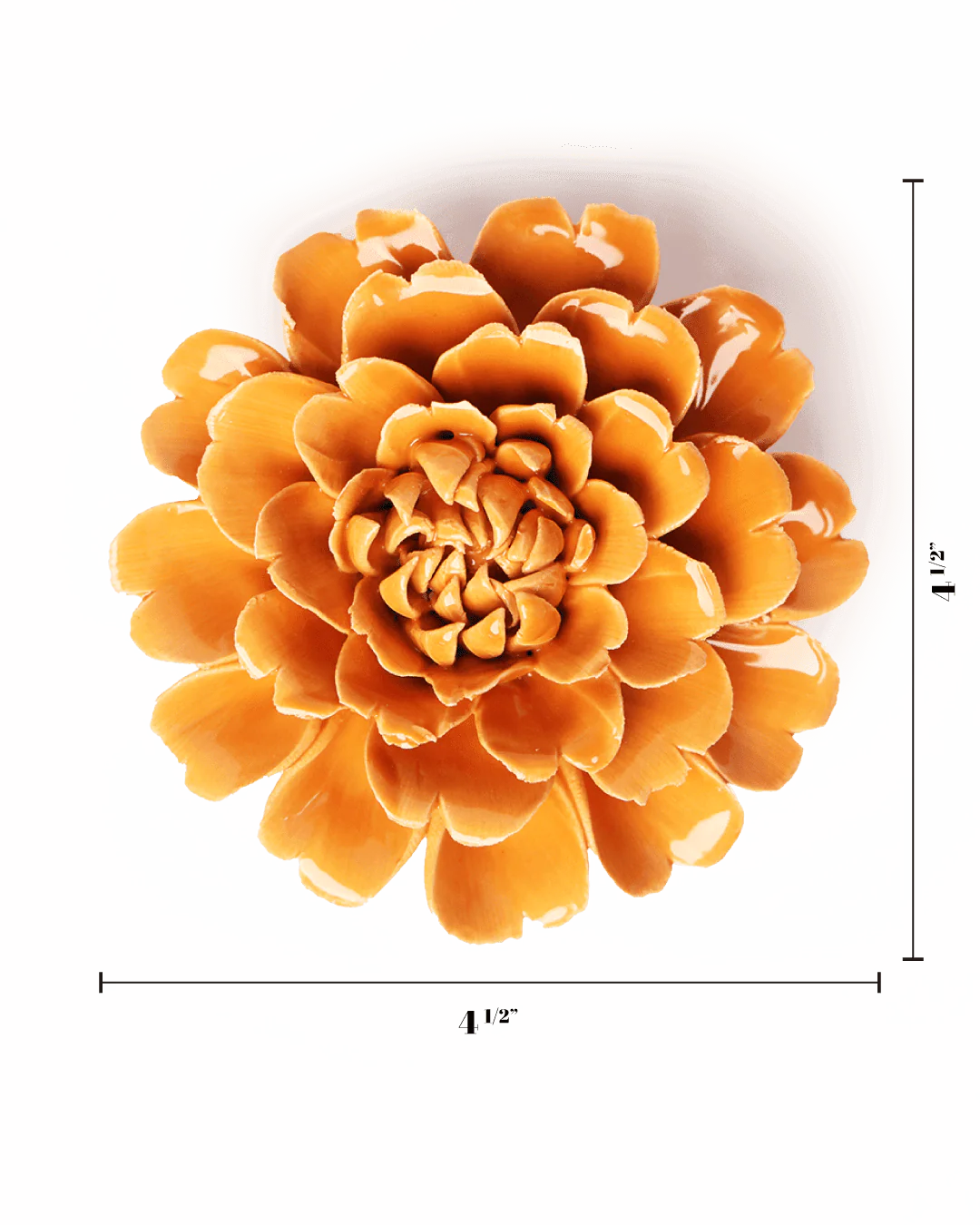 October Birth Flower - Marigold - Image 3