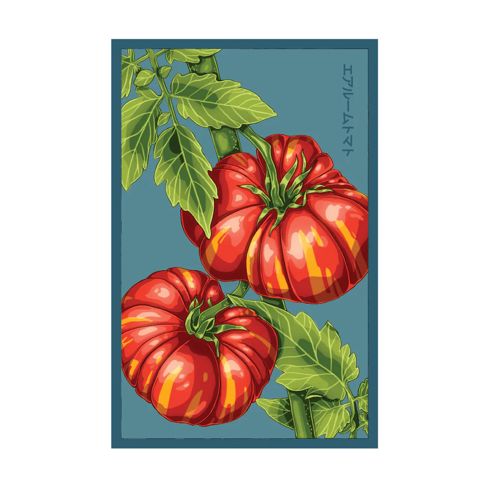 Old German Heirloom Tomato Vegetable Seeds Packet