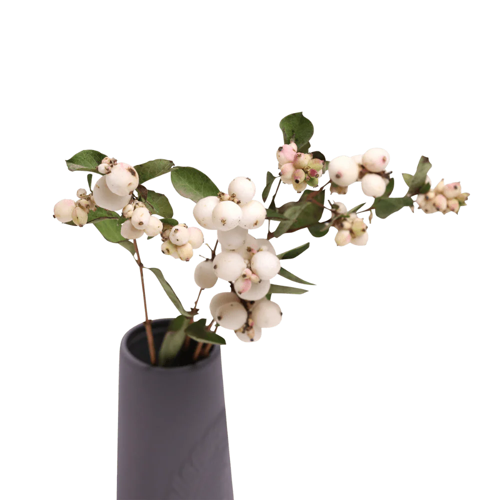 Olmstead Porcelain Bud Vase - Image 6