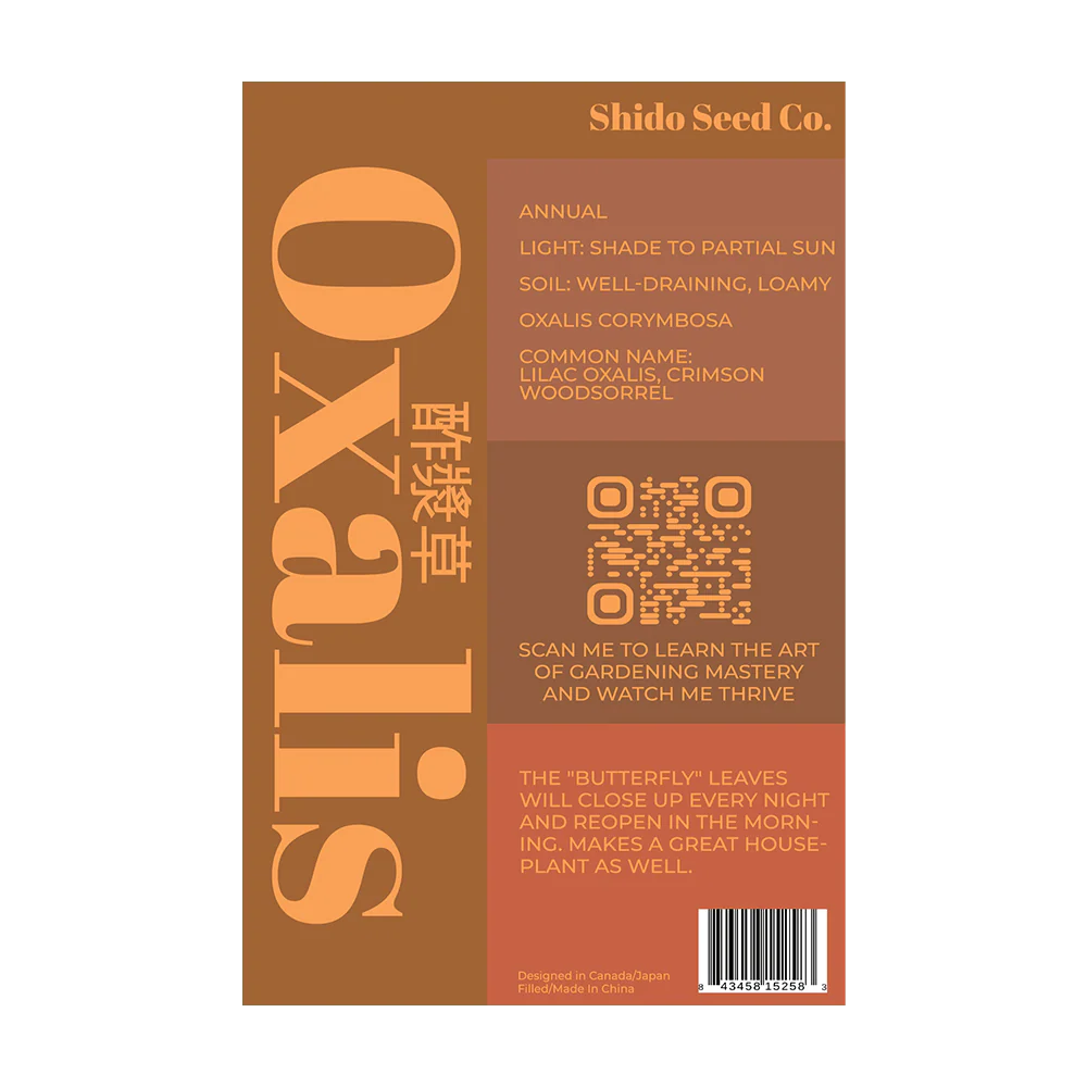 Oxalis Flower Seeds Packet - Image 2