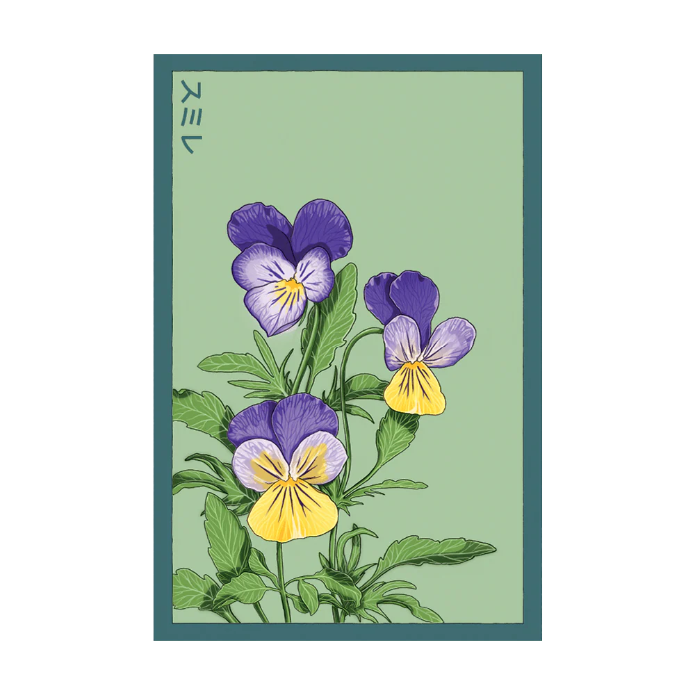 Pansy Flower Seeds Packet