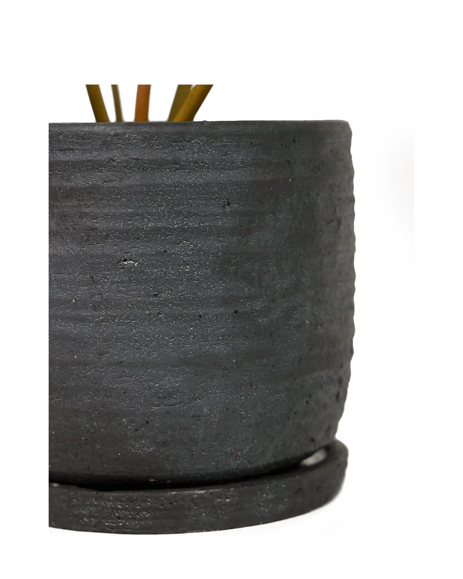 Paul Ceramic Pot And Saucer Set With Drainage | 5 inch - Image 4