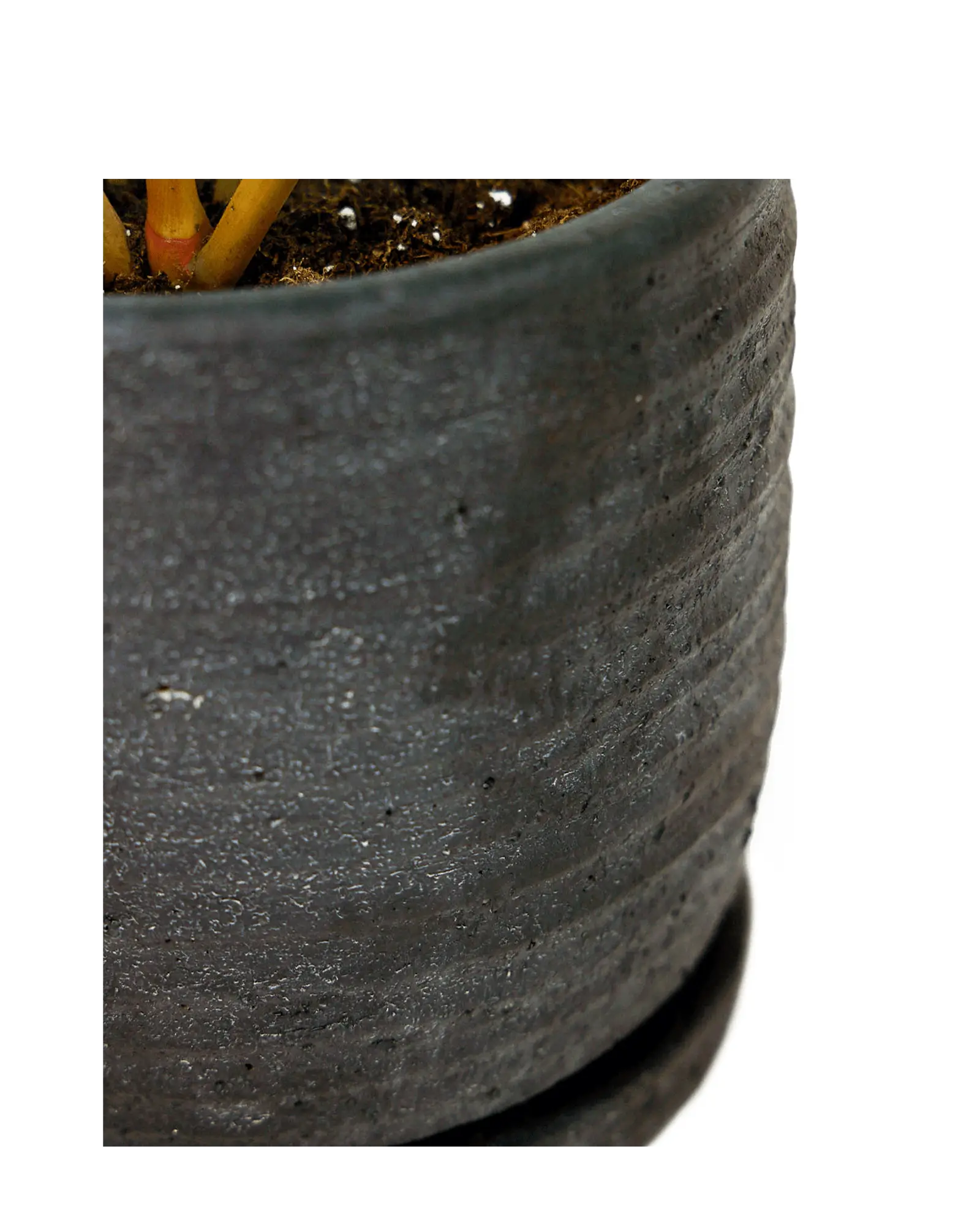 Paul Ceramic Pot And Saucer Set With Drainage | 5 inch - Image 5