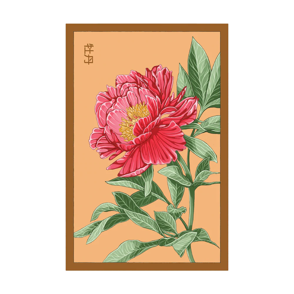 Peony Flower Seeds Packet
