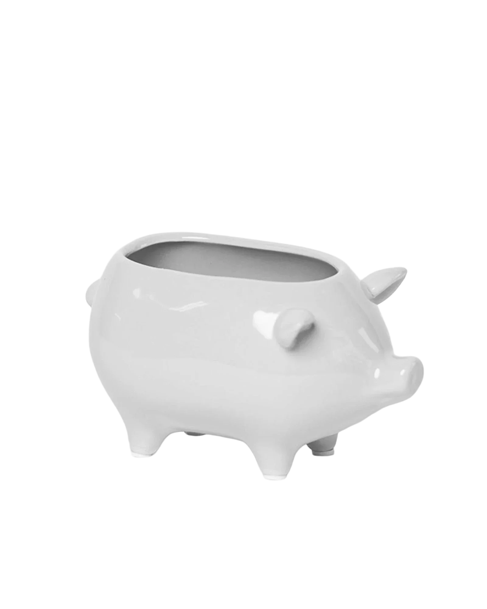 Pig Ceramic Indoor Plant Pot For Succulents - Image 11