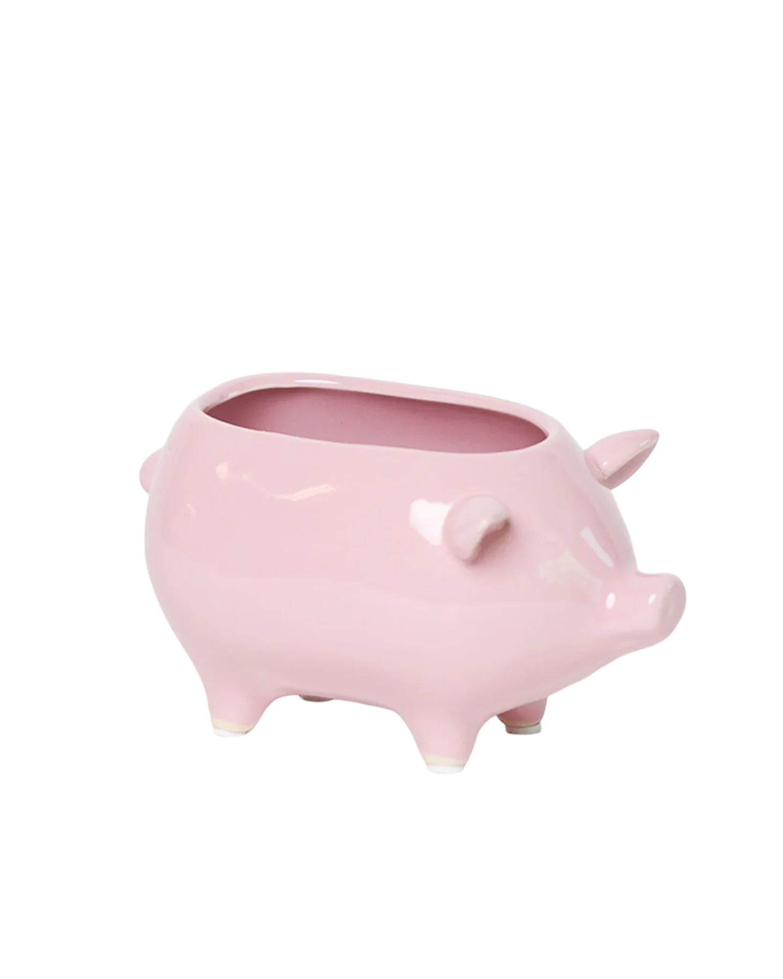 Pig Ceramic Indoor Plant Pot For Succulents - Image 14