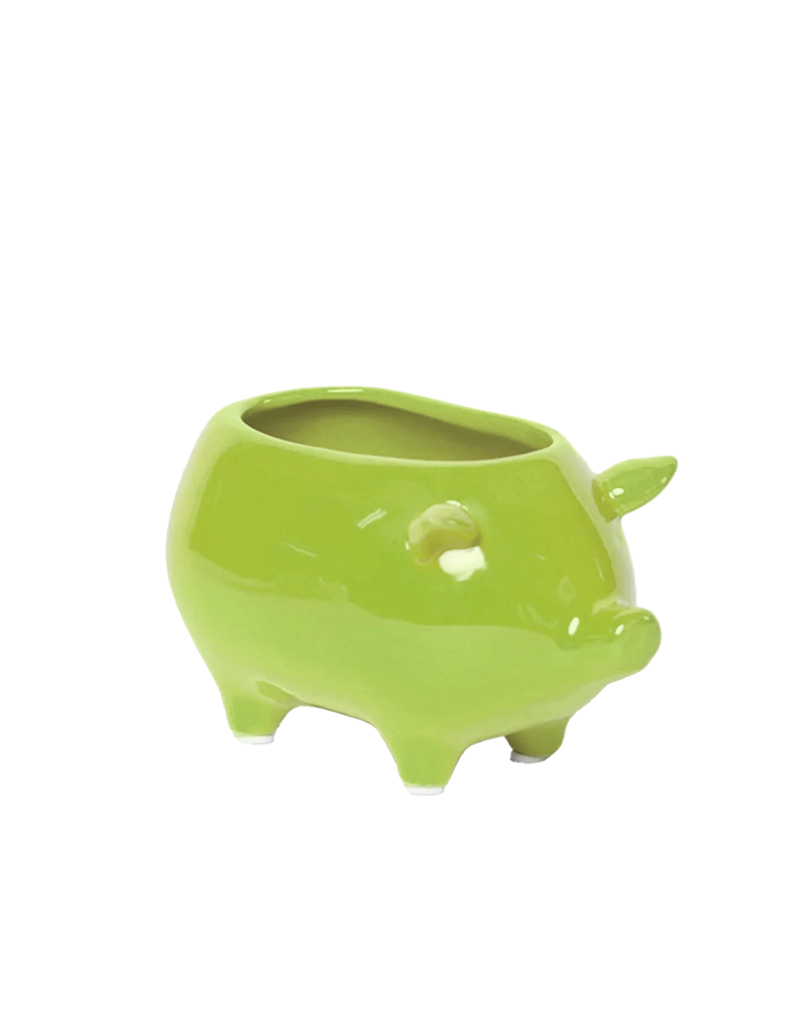 Pig Ceramic Indoor Plant Pot For Succulents - Image 5