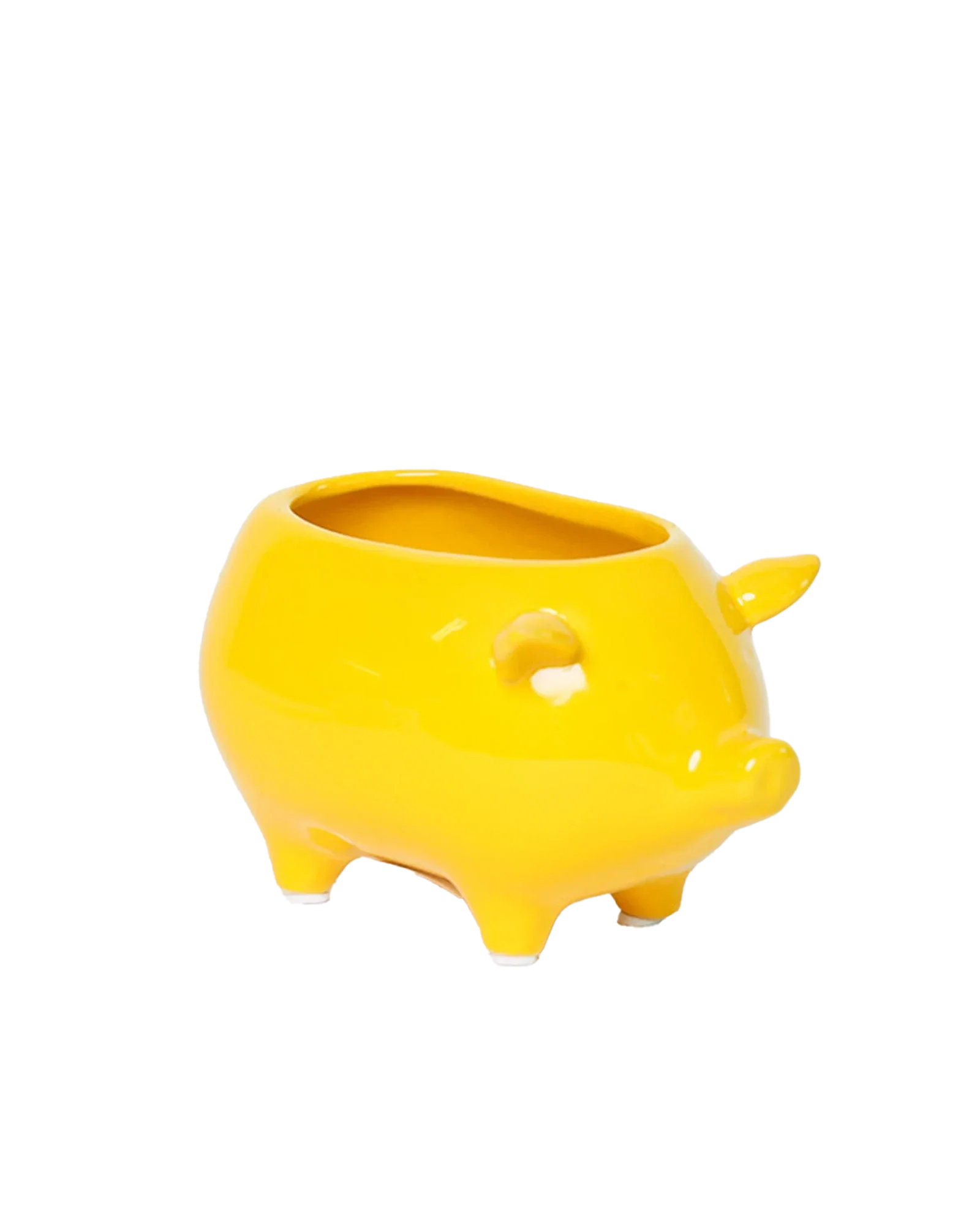 Pig Ceramic Indoor Plant Pot For Succulents - Image 8