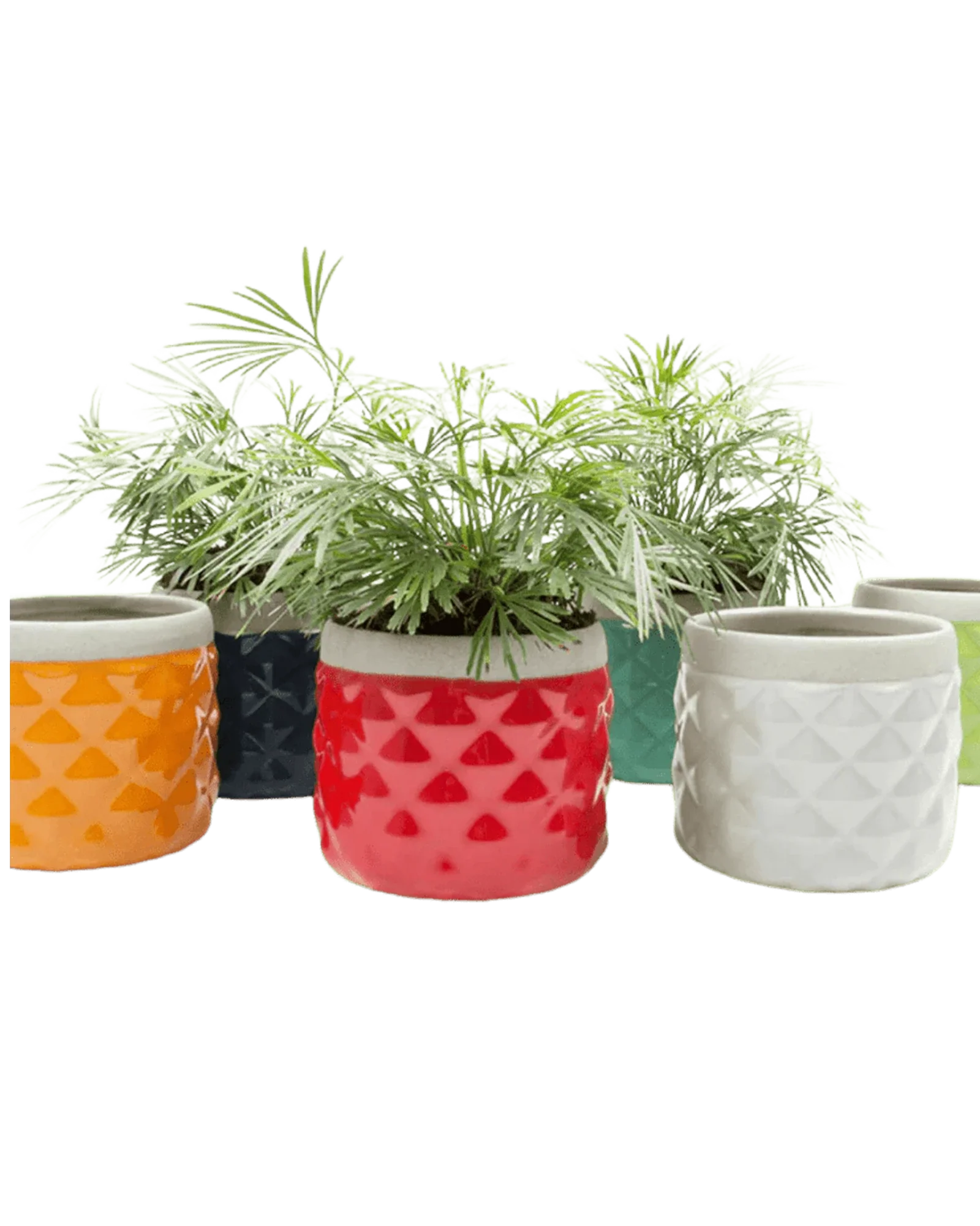 Pina Ceramic Succulent Planter Pot - Image 4