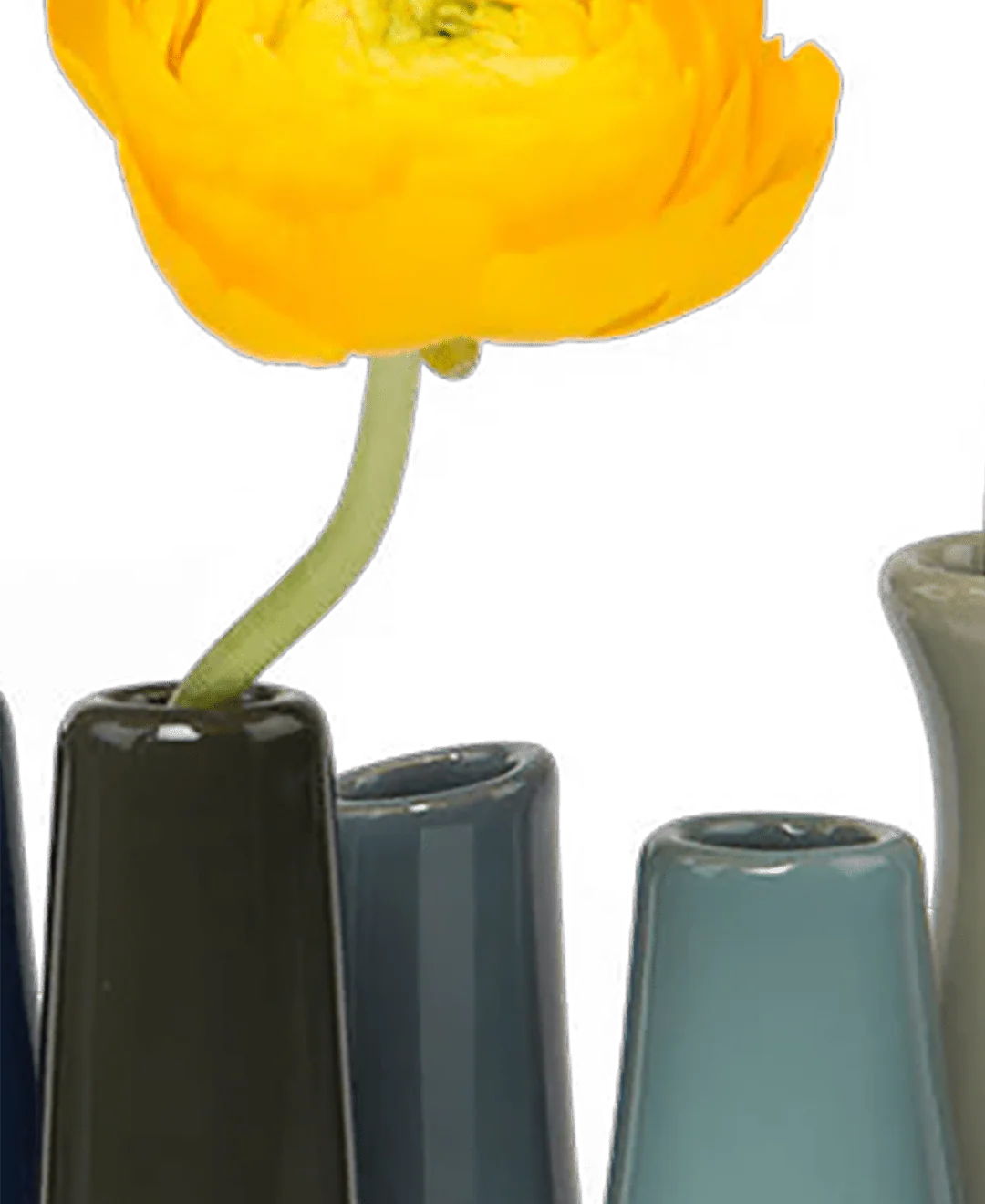 Pooley Modern Bud Vase For Flowers - Image 14