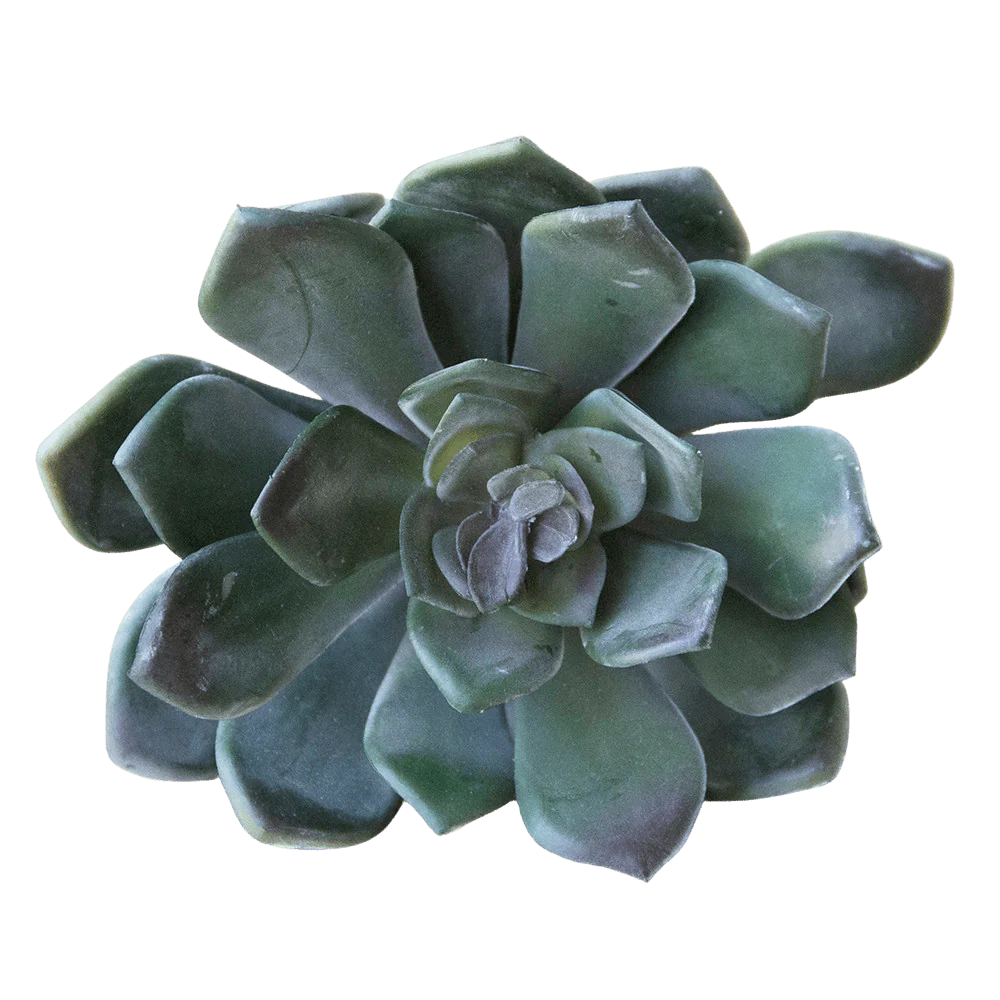 Premium Artificial Succulents - Lifelike Botanical Decor - Image 12