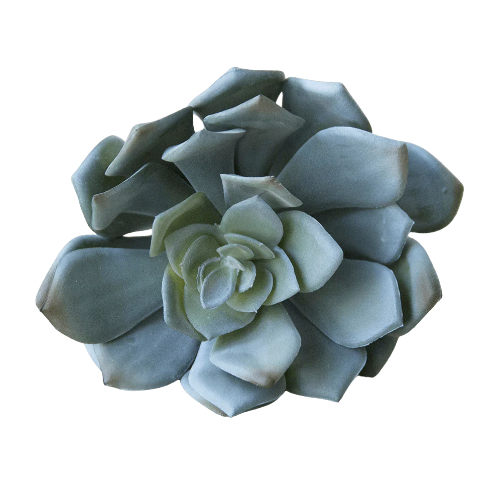 Premium Artificial Succulents - Lifelike Botanical Decor - Image 13