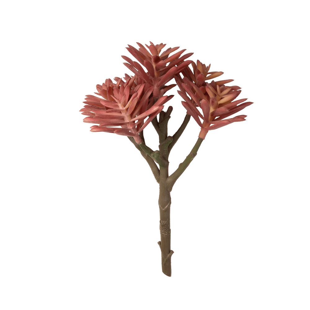 Premium Artificial Succulents - Lifelike Botanical Decor - Image 15