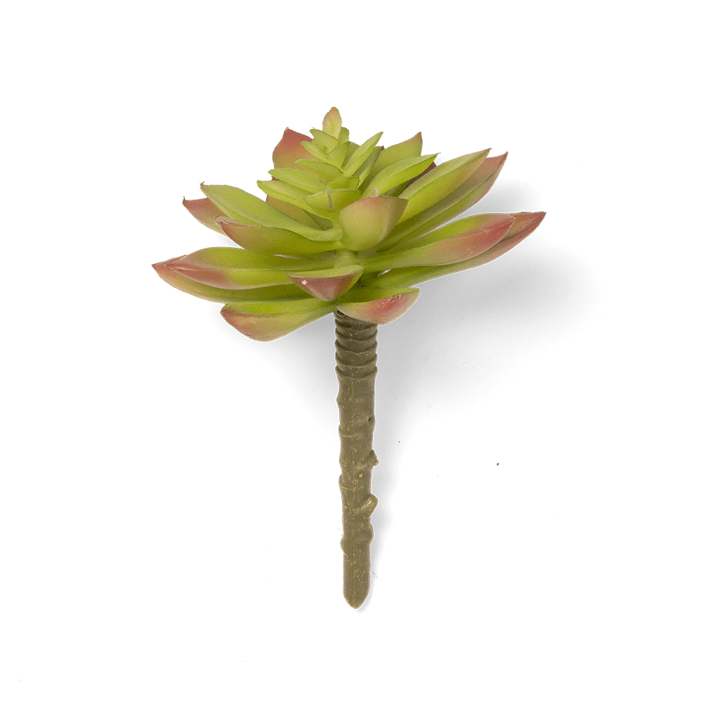 Premium Artificial Succulents - Lifelike Botanical Decor - Image 3