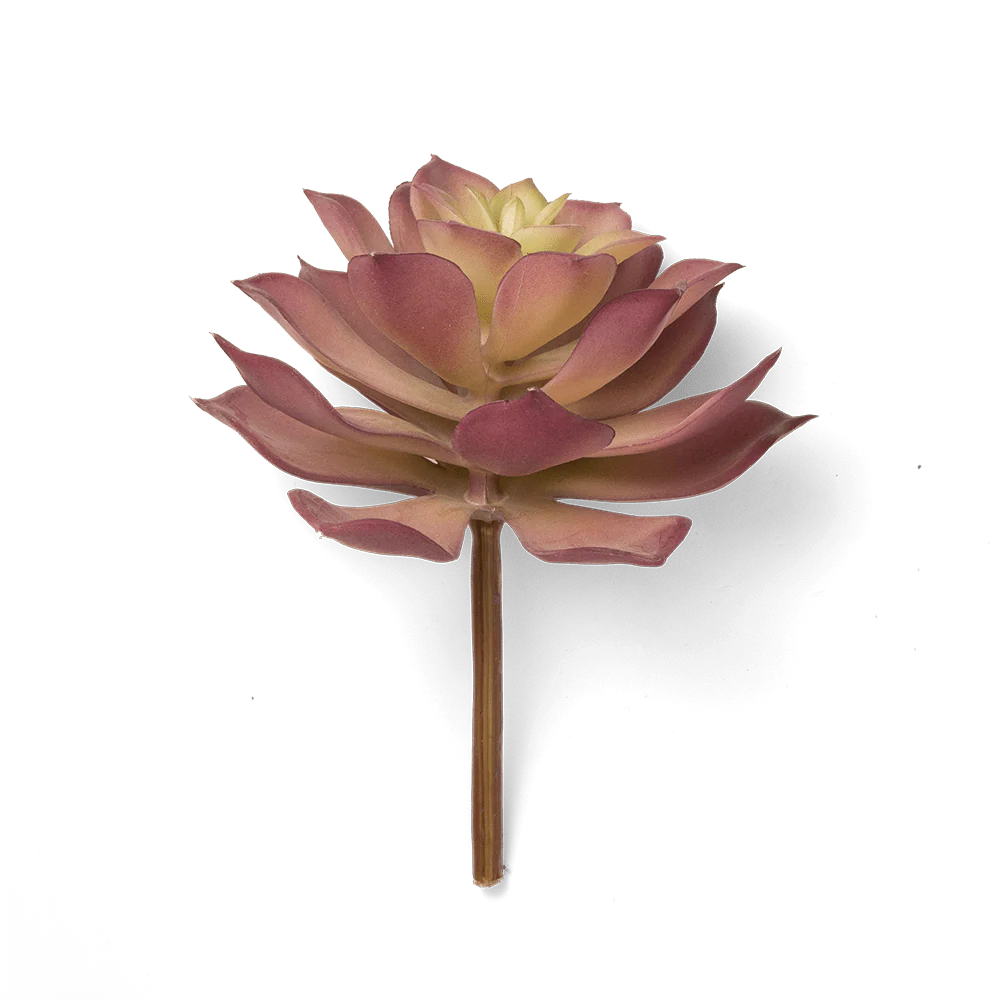 Premium Artificial Succulents - Lifelike Botanical Decor - Image 4