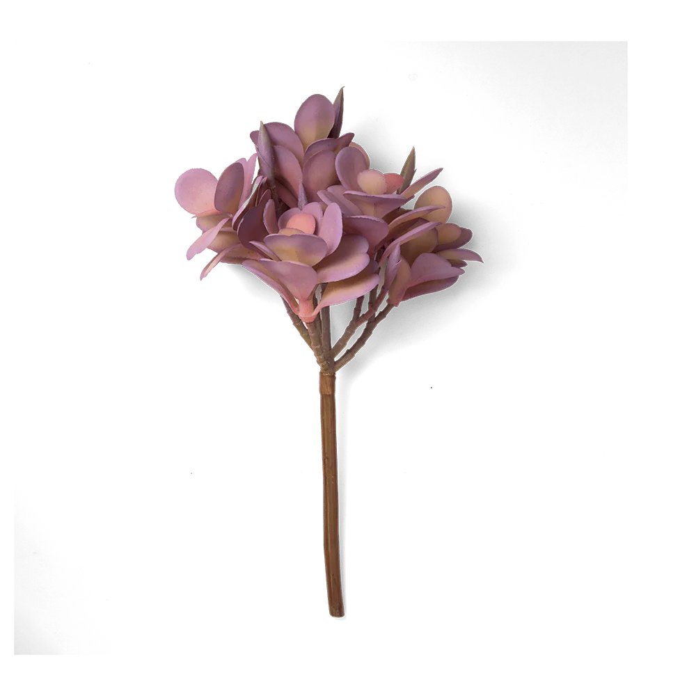 Premium Artificial Succulents - Lifelike Botanical Decor - Image 7