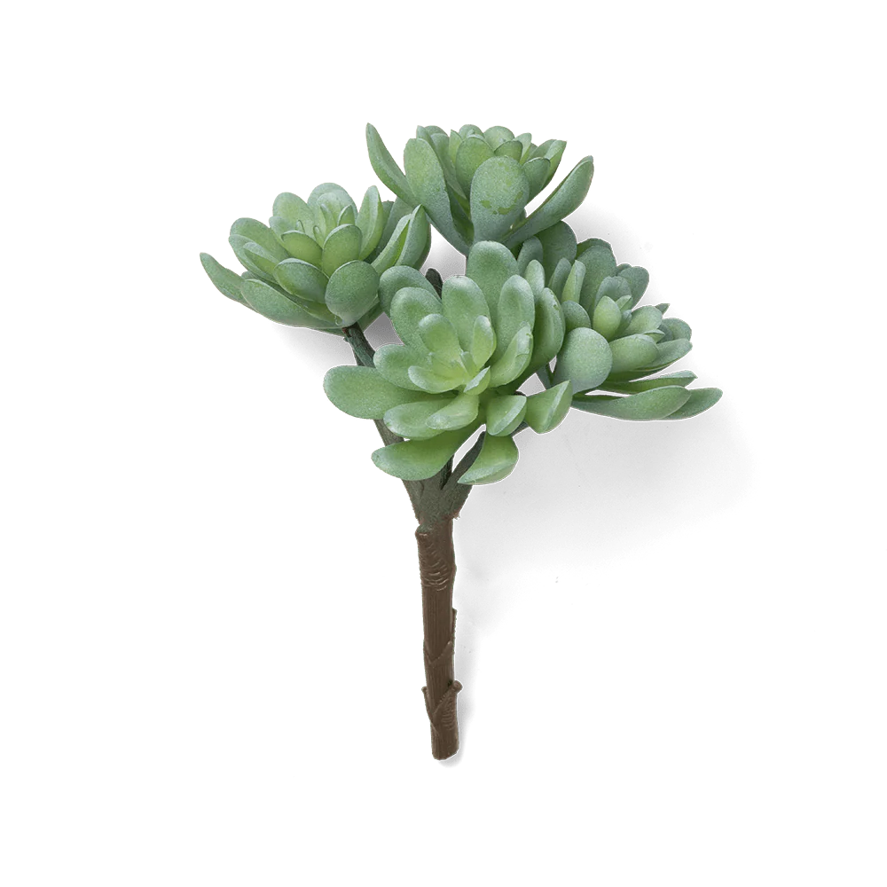 Premium Artificial Succulents - Lifelike Botanical Decor - Image 8