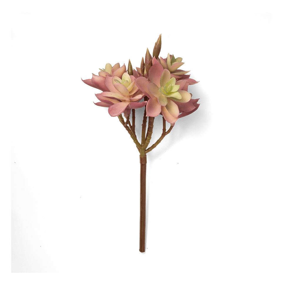 Premium Artificial Succulents - Lifelike Botanical Decor - Image 9