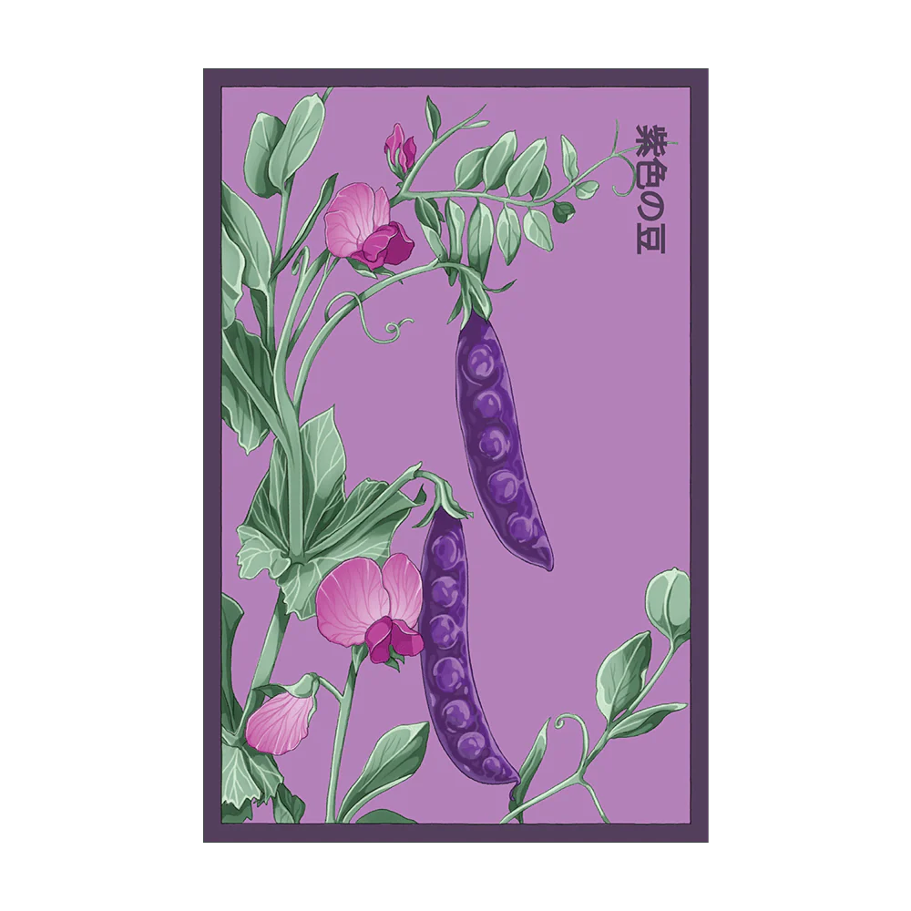 Purple Peas Vegetable Seeds Packet