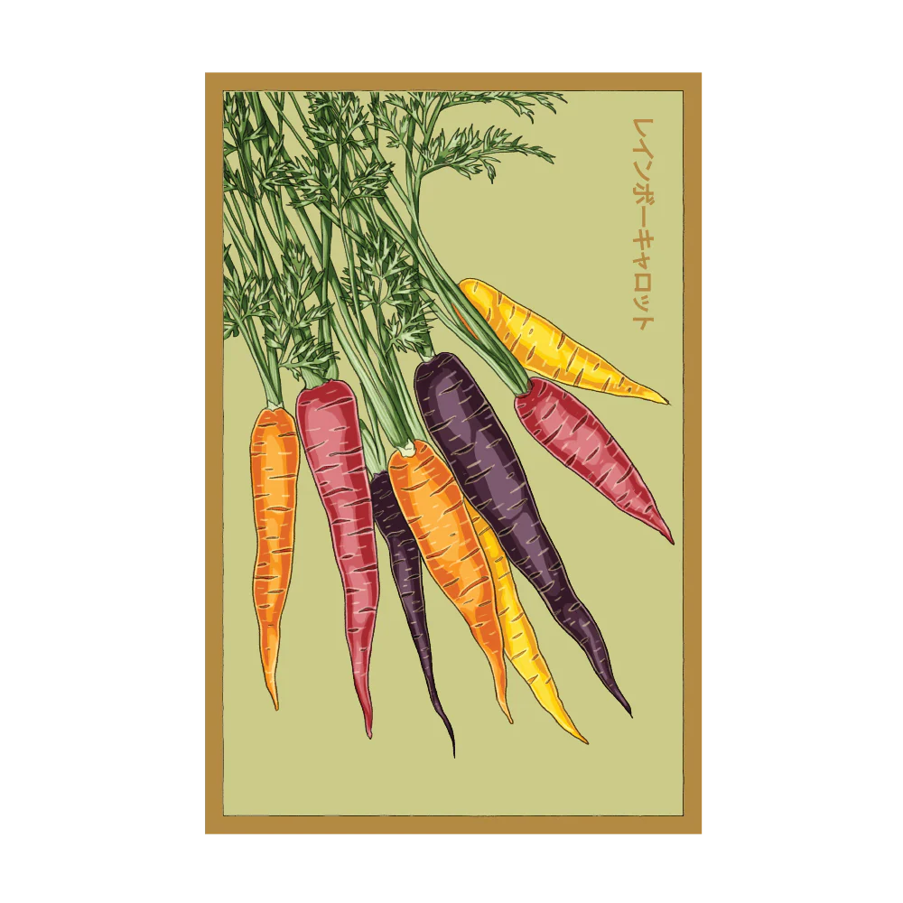 Rainbow Carrot Vegetable Seeds Packet