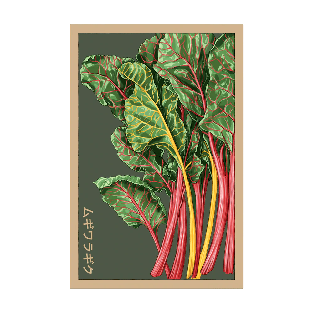 Rainbow Chard Vegetable Seeds Packet