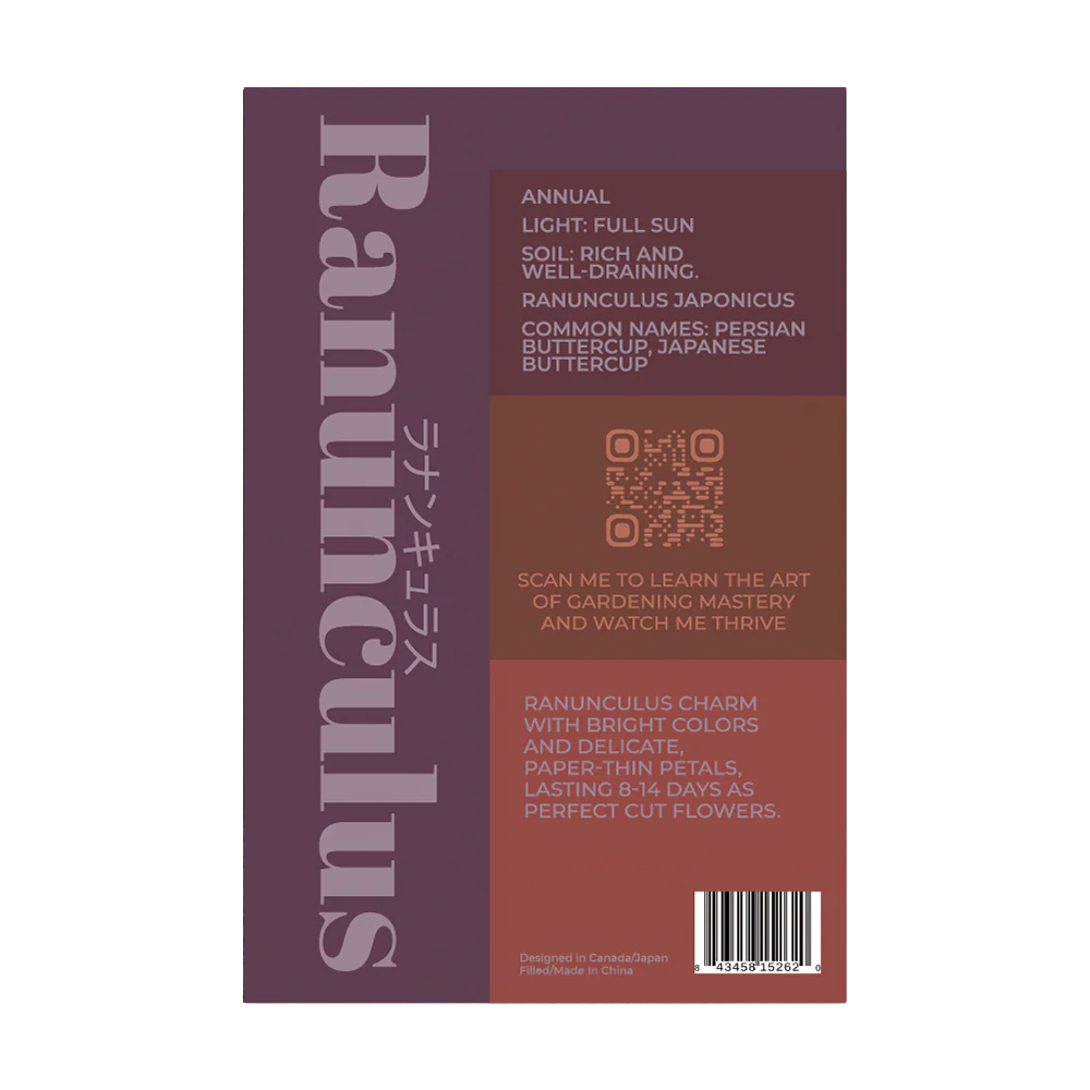 Ranunculus Flower Seeds Packet - Image 2