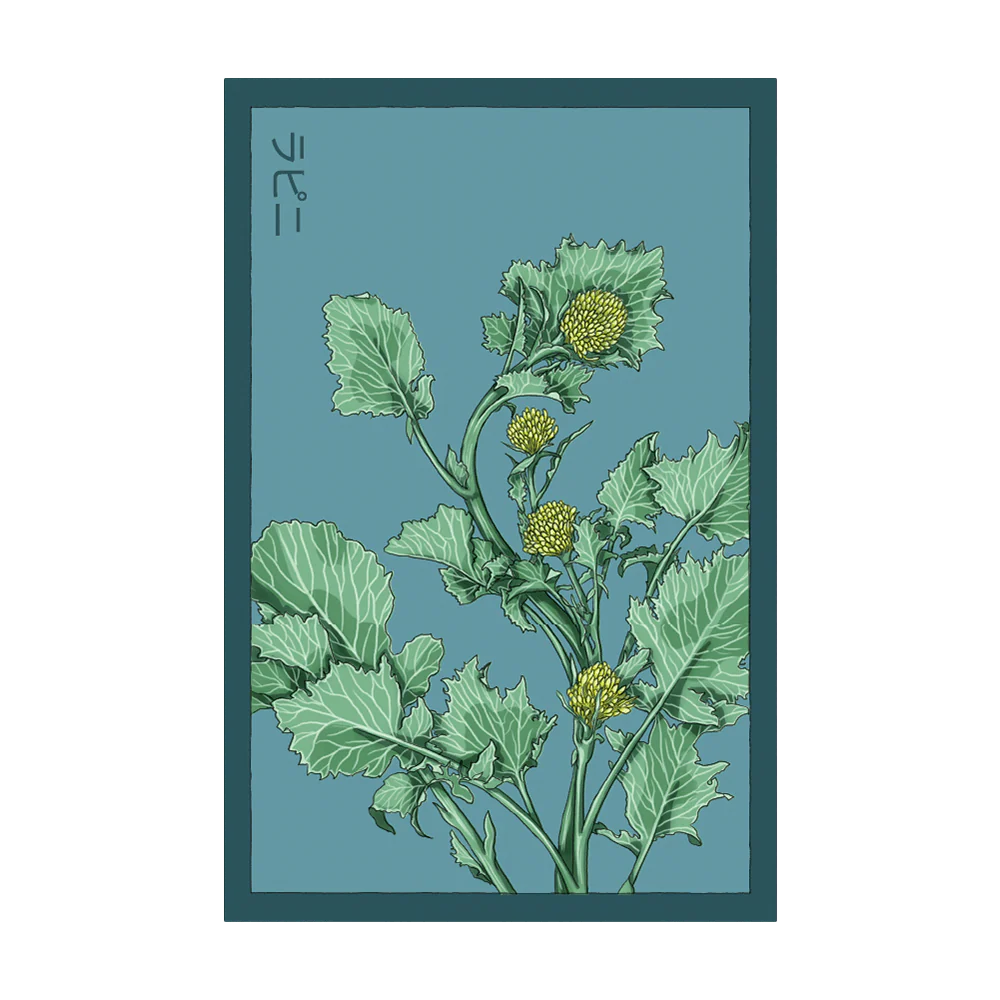 Rapini Vegetable Seeds Packet