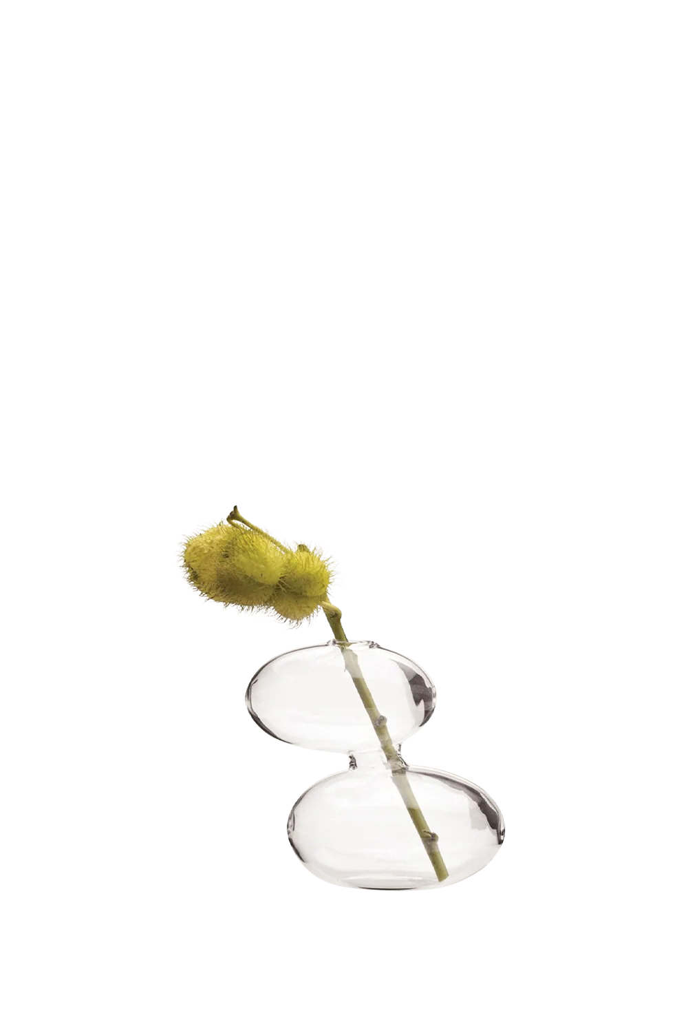 Raygun Glass Modern Clear Flower Vase